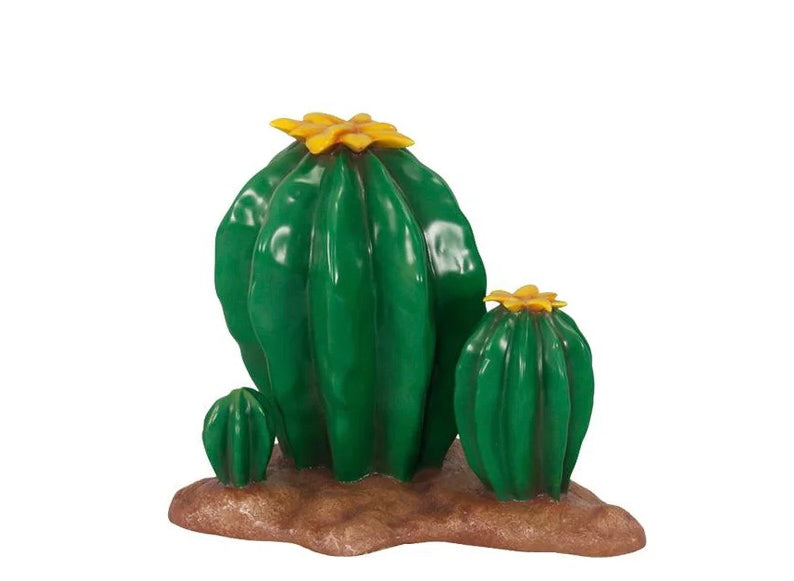 Cactus Shrubs