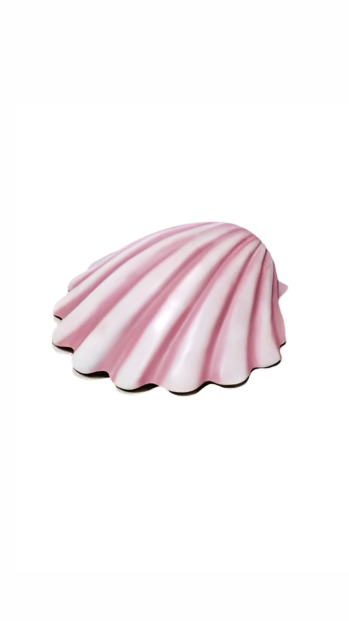 Giant Sea Shell
