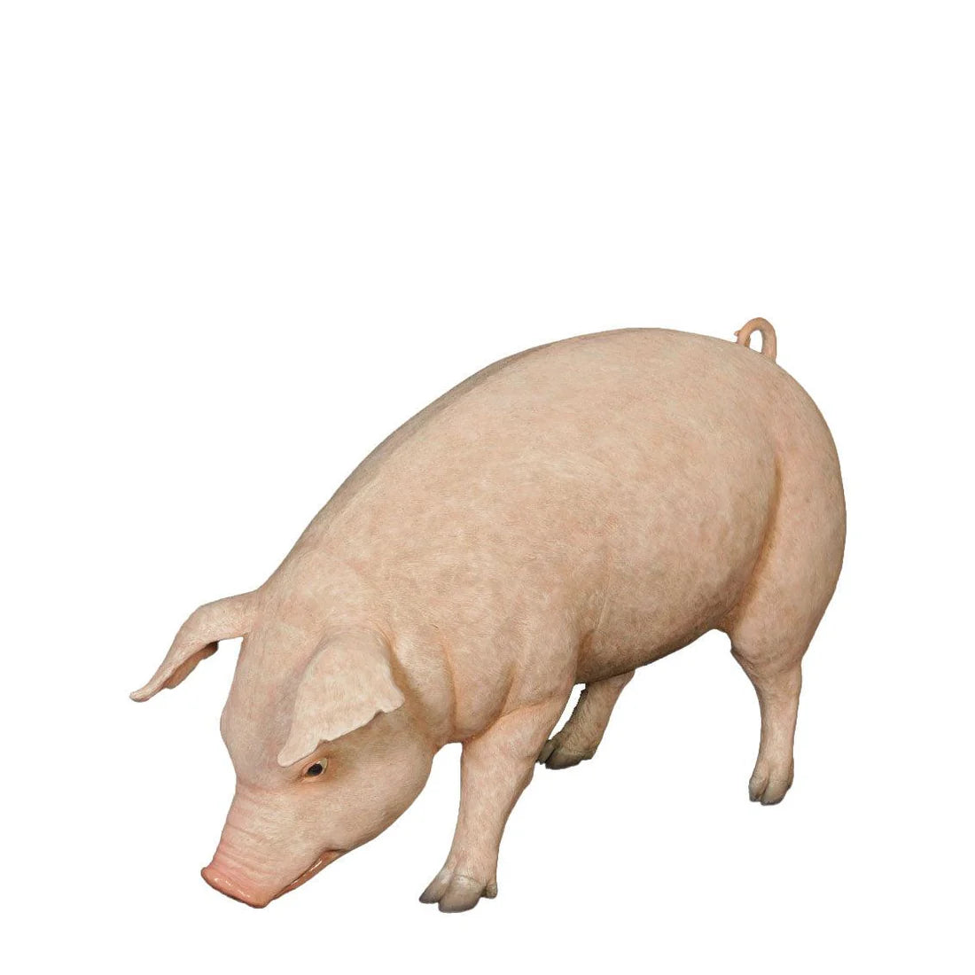 Adult Head Down Fat Pig