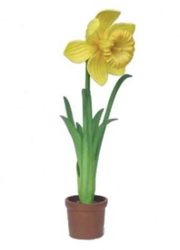 Large Narcis Flower