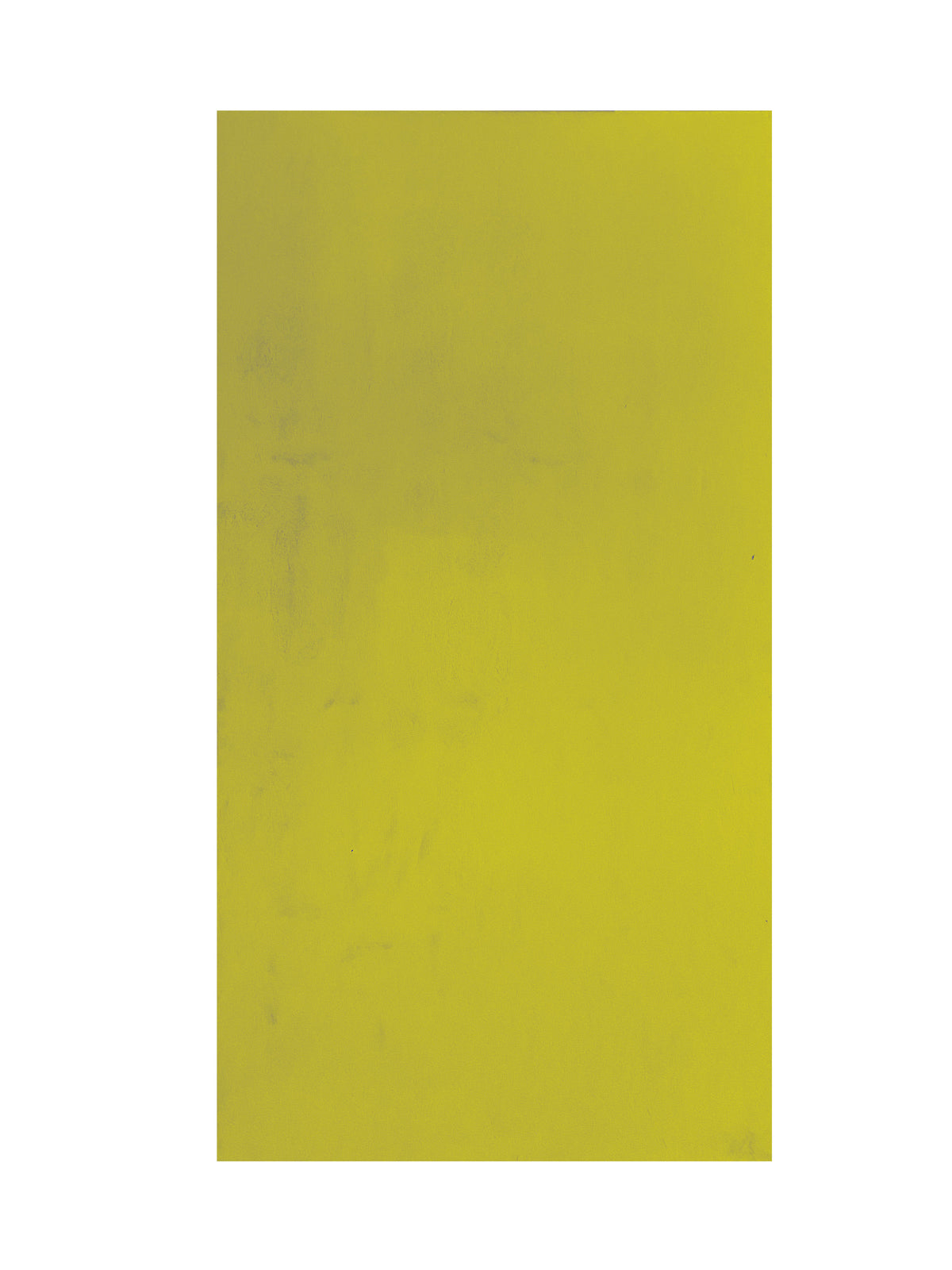 Yellow Backdrop
