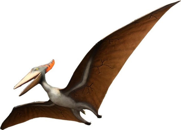 Pteranodon Flying Dinosaur