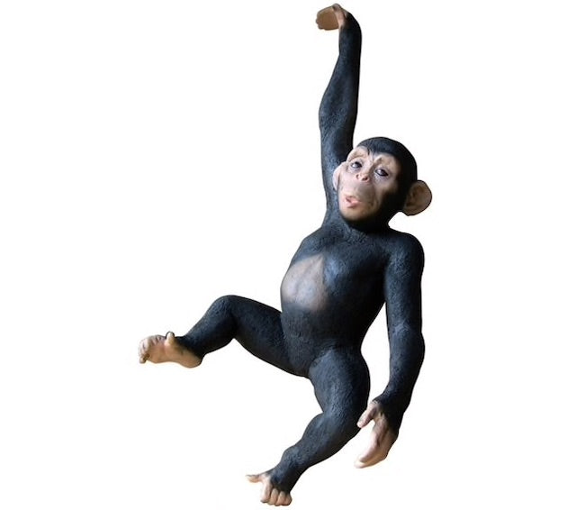 One Handed Hanging Monkey