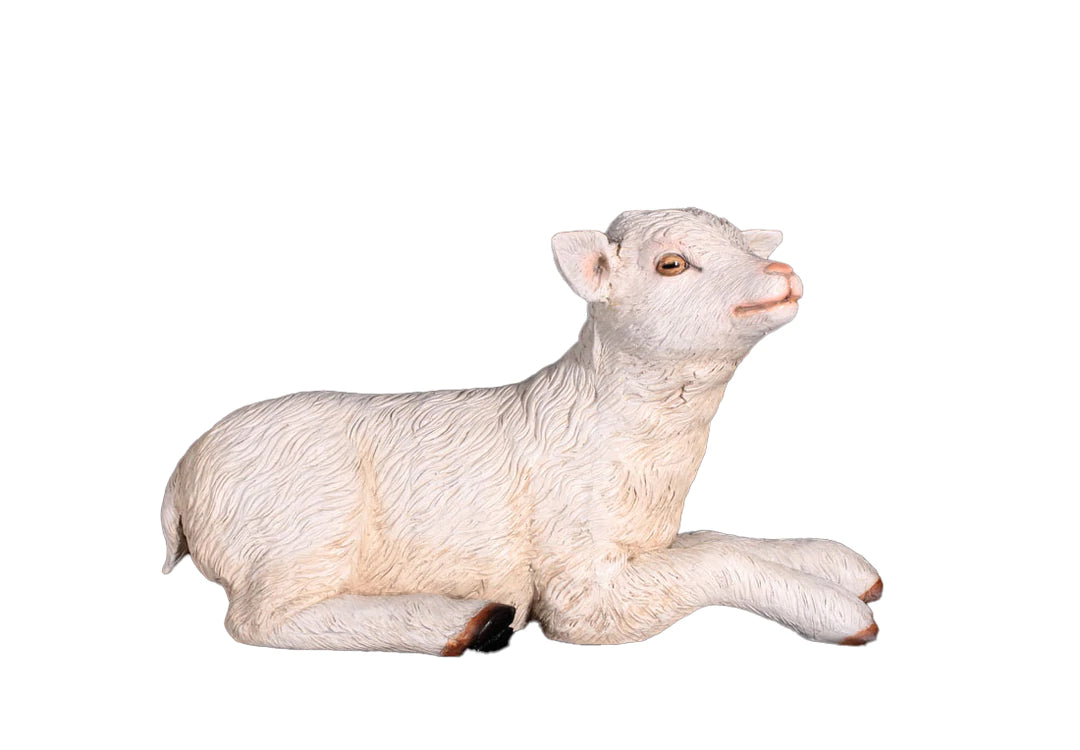 Baby Laying Goat
