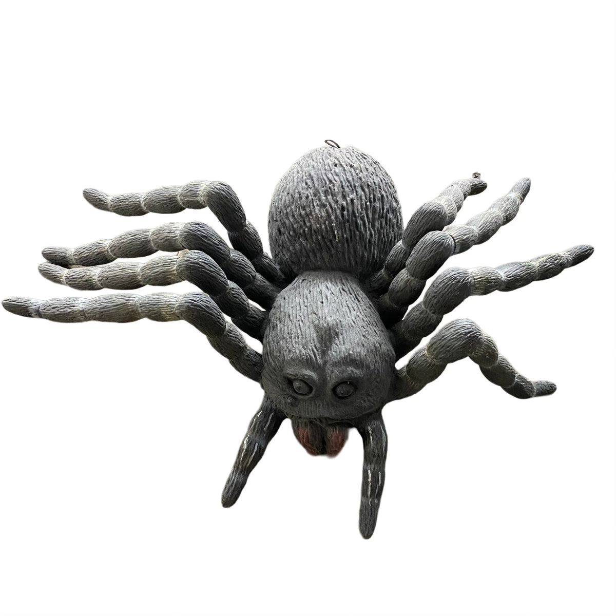 Box Of Large Spiders