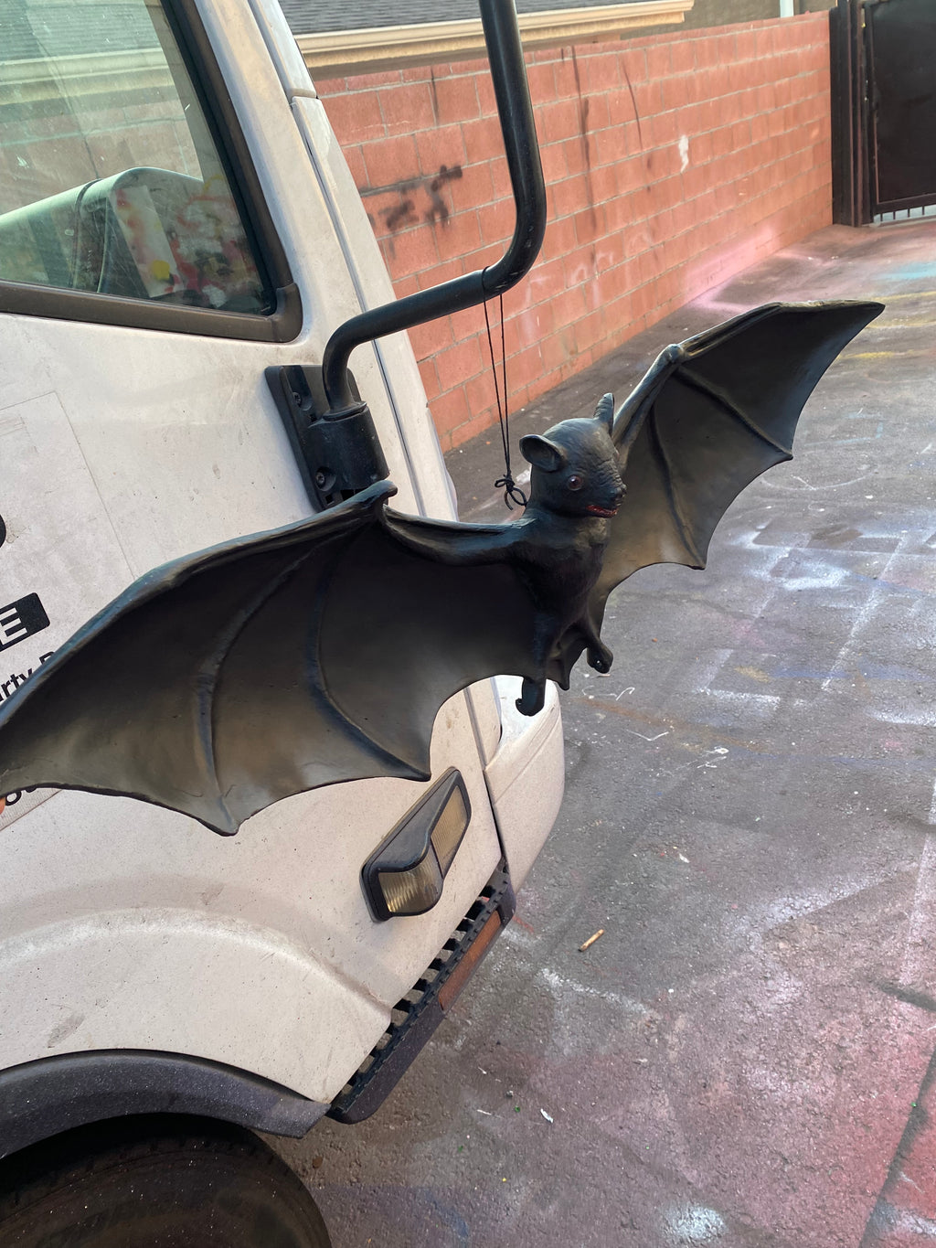 Bat