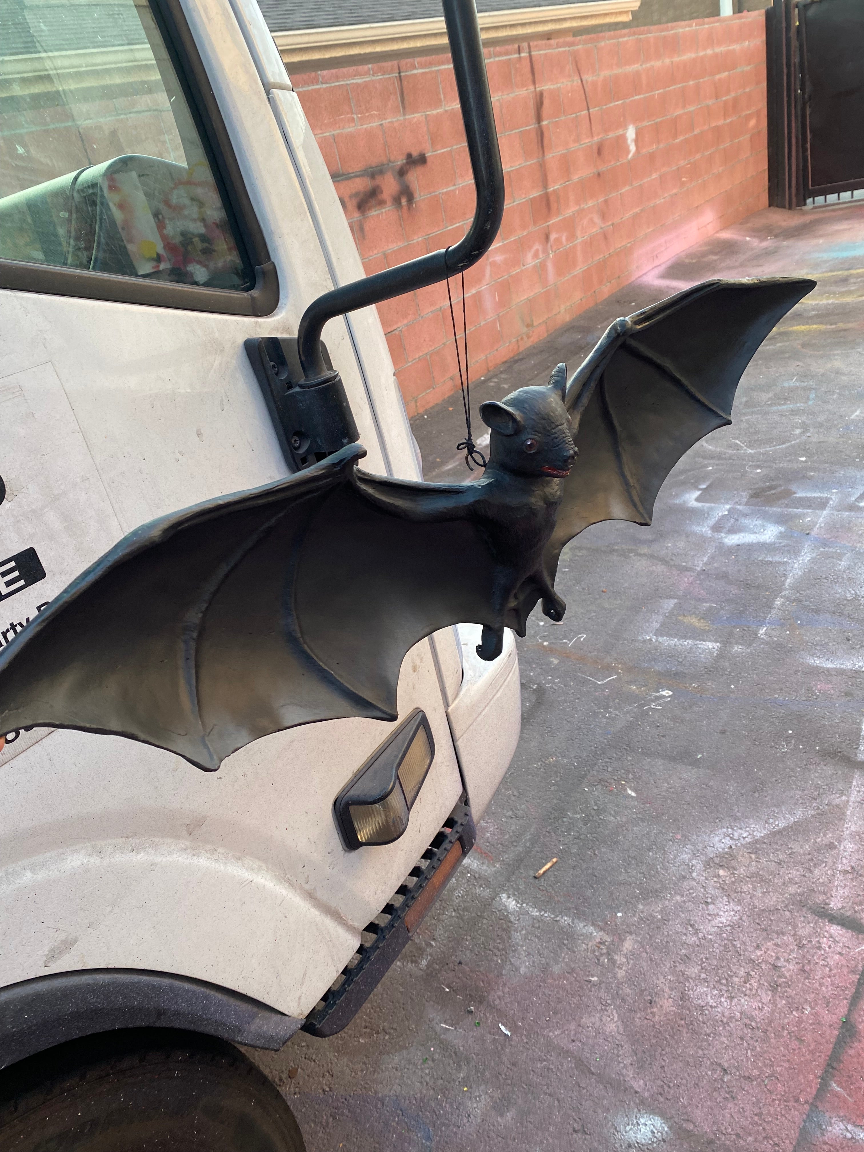Bat