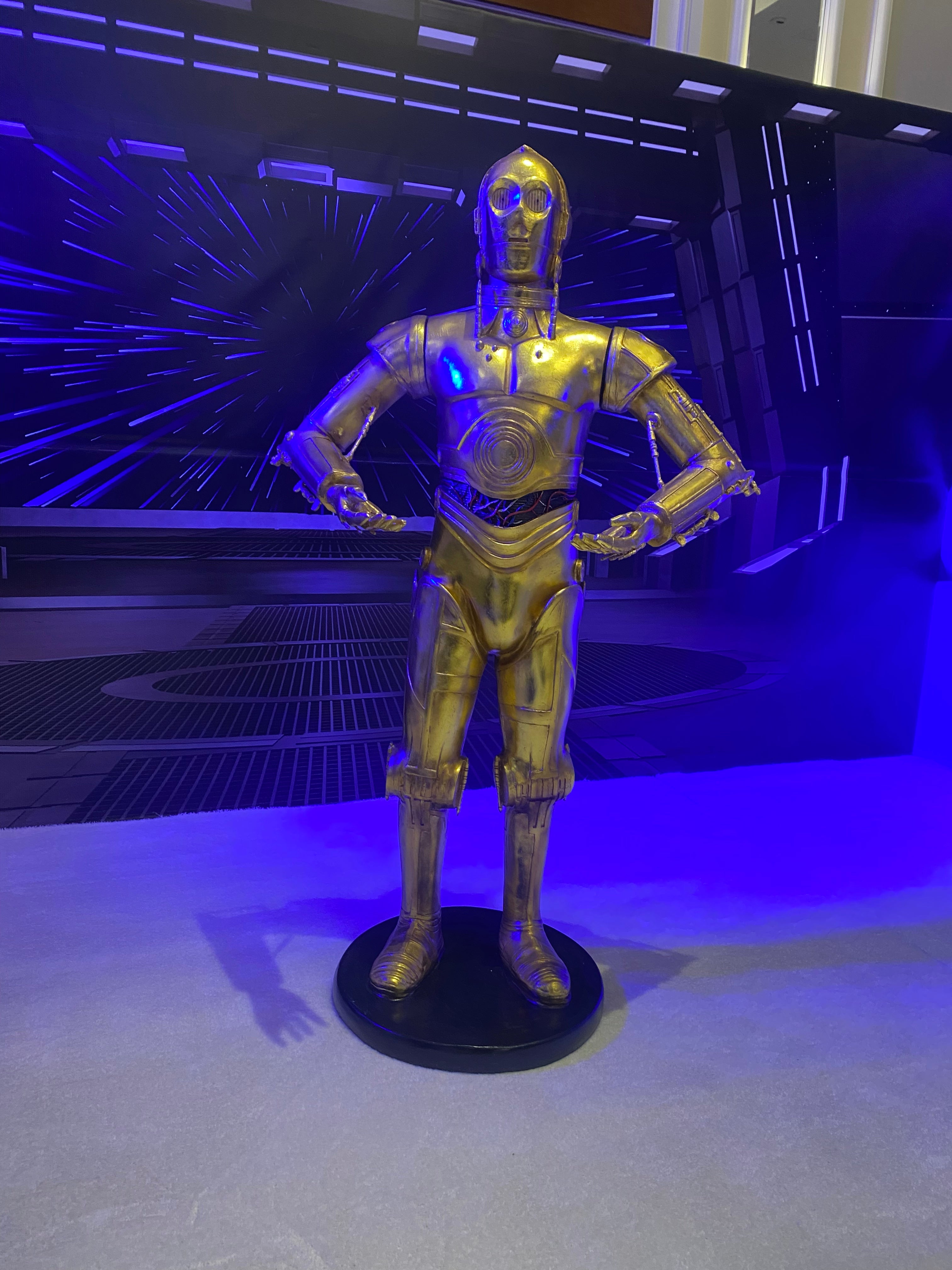 C3PO Droid