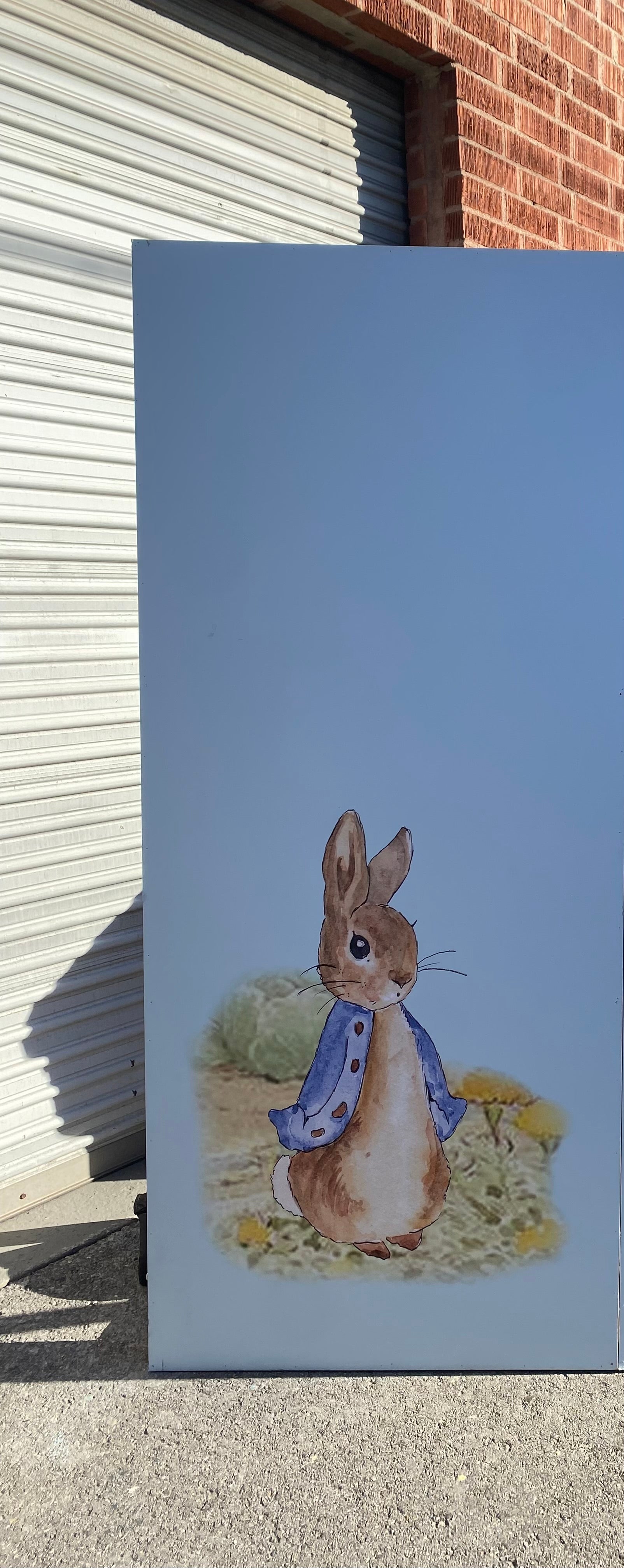 Peter Rabbit Backdrop