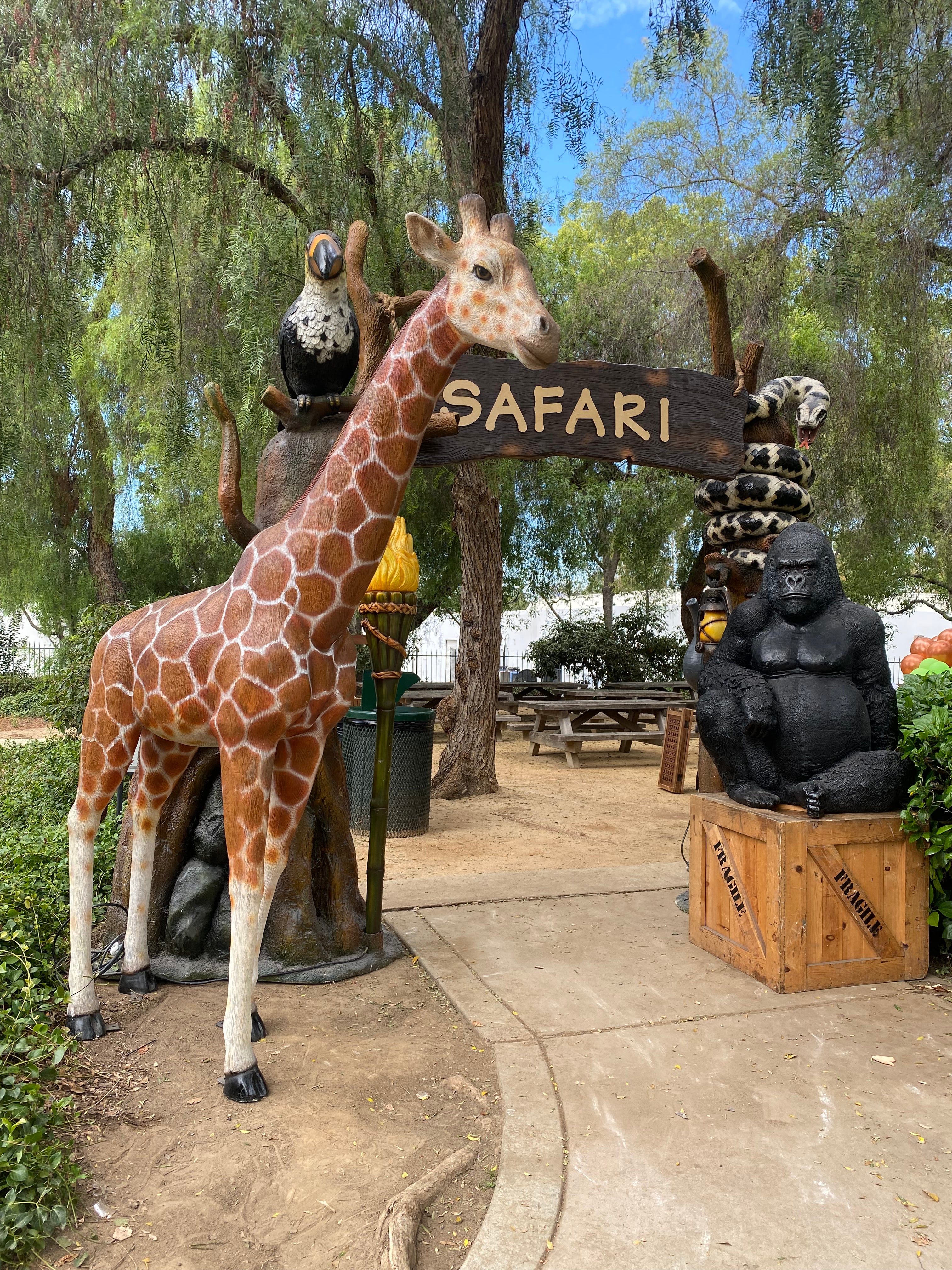 Large Safari Arch