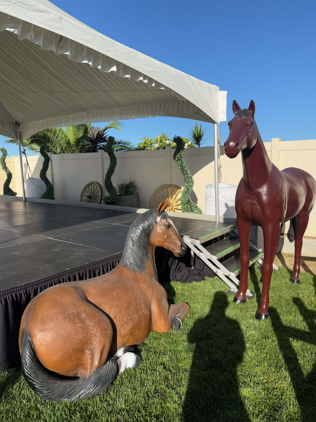 Laying Brown Brown Horse