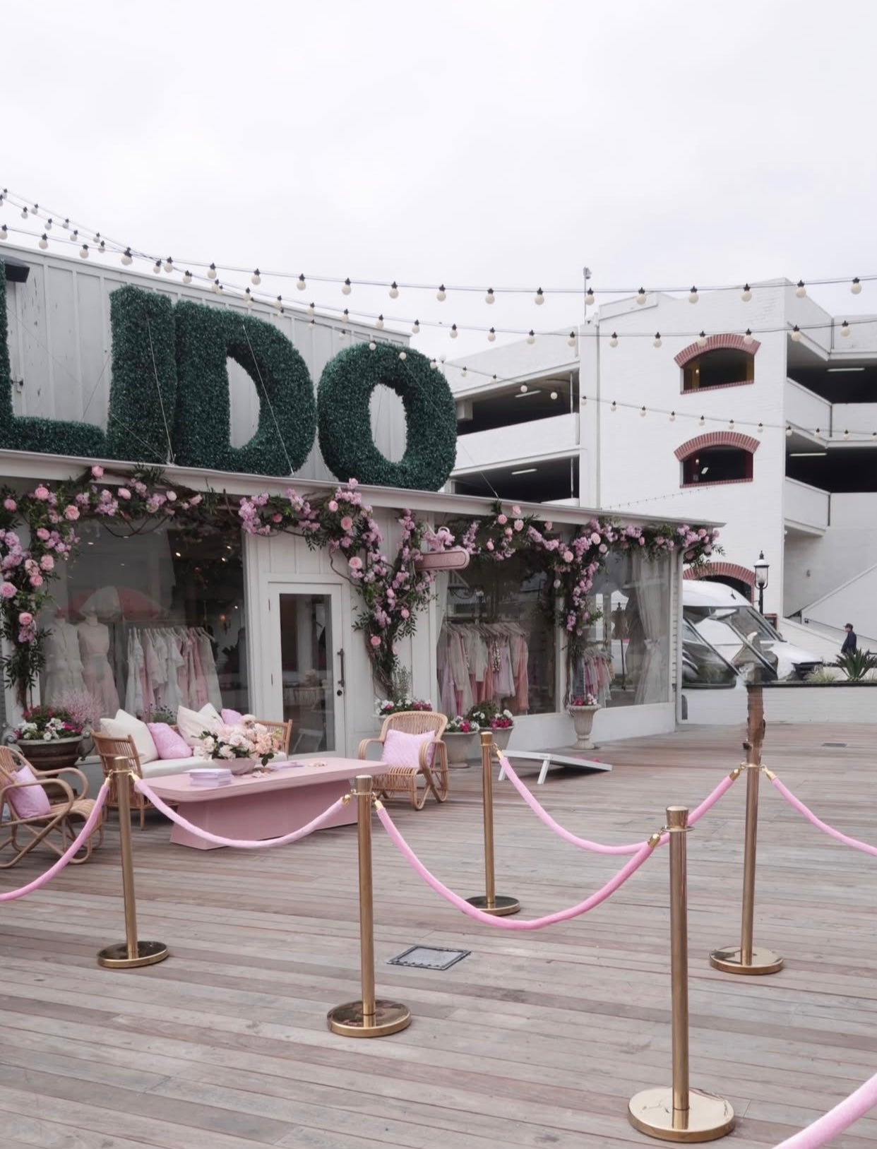 Gold Stanchions w/ Light Pink Ropes
