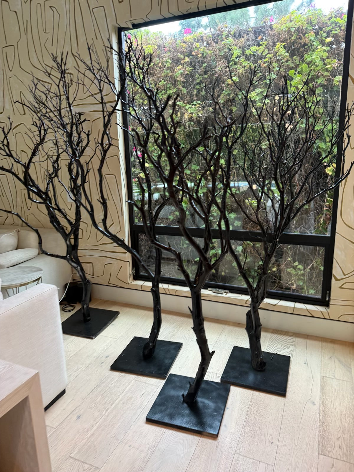 Black Manzanita Tree