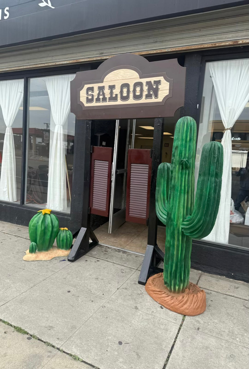 Western Cactus
