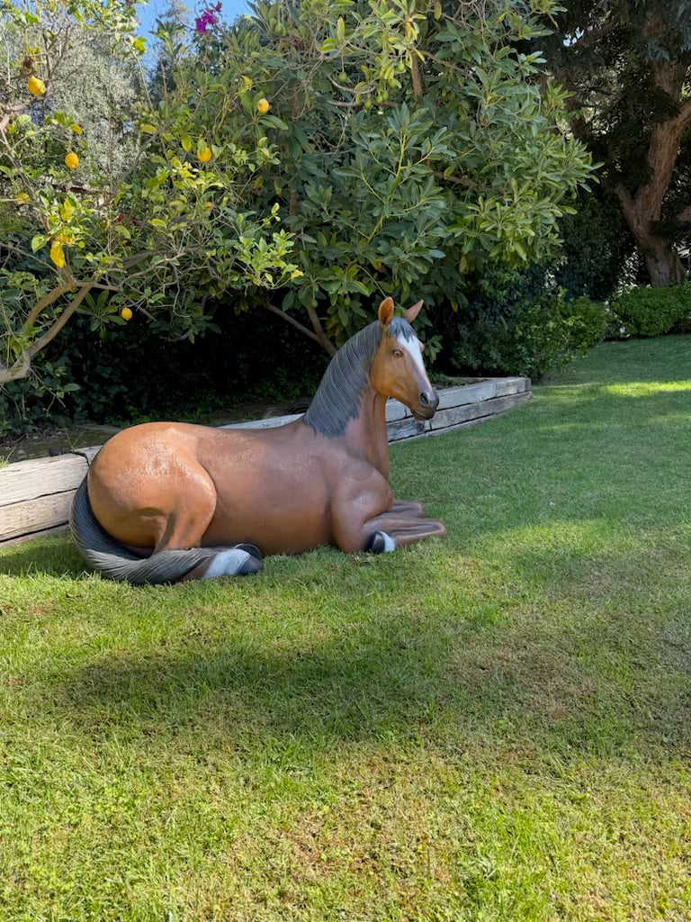 Laying Brown Brown Horse