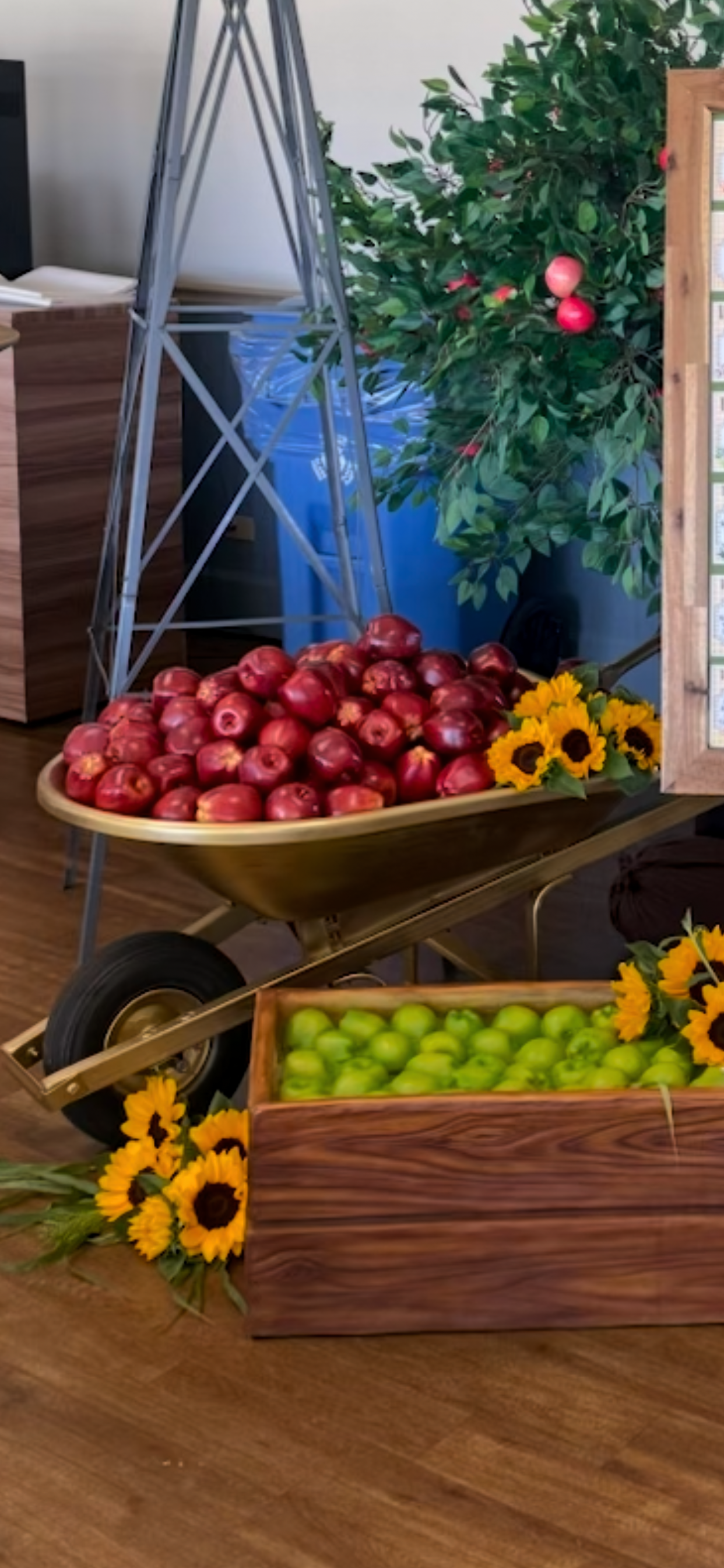 Crate Of Green Apples