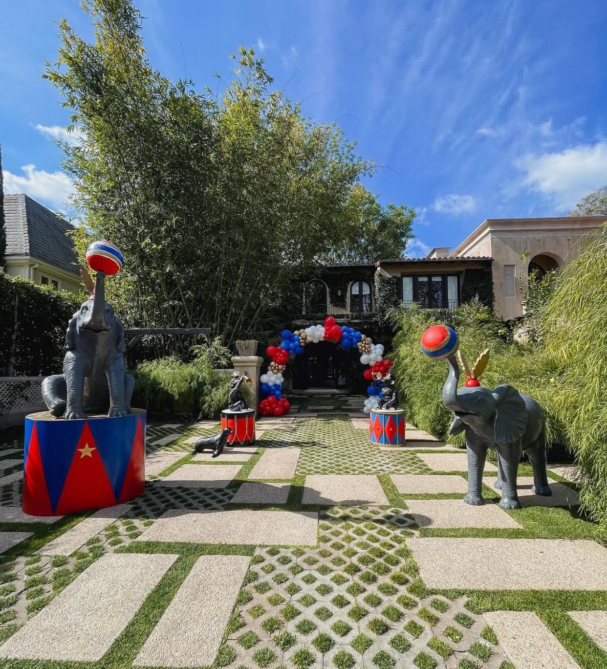 Circus Elephant Package