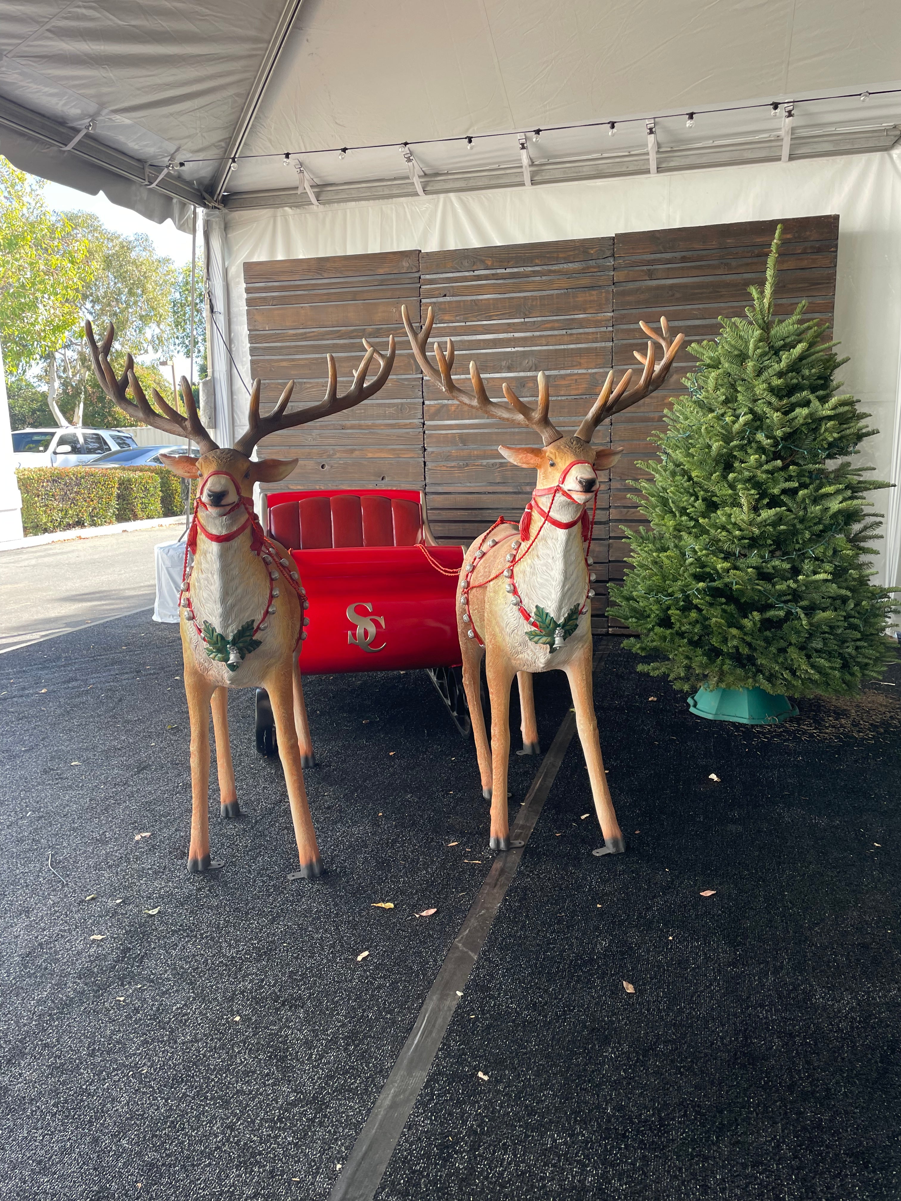 Santa’s Reindeer Couple