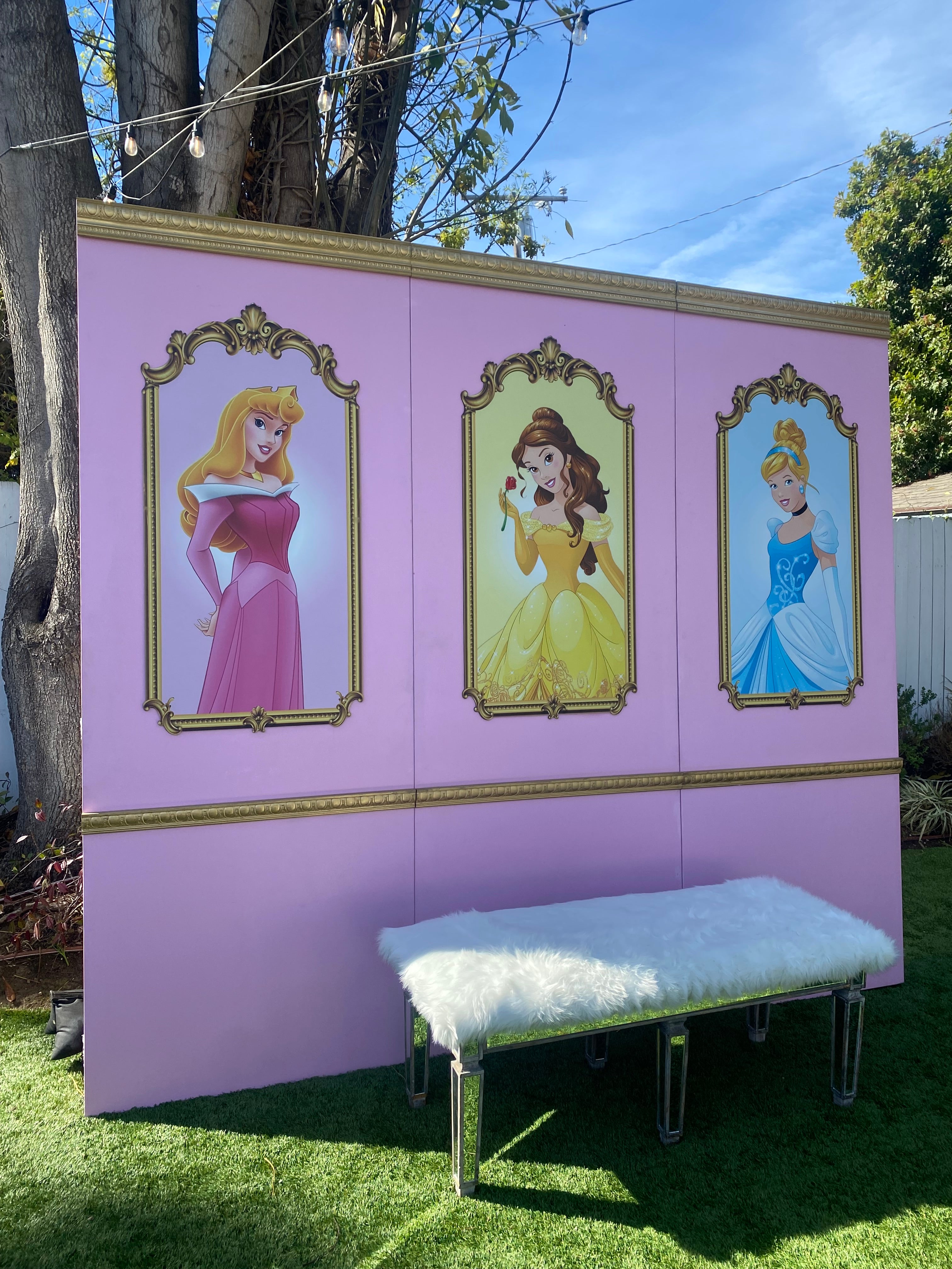 Princess Cinderella Backdrop Panel