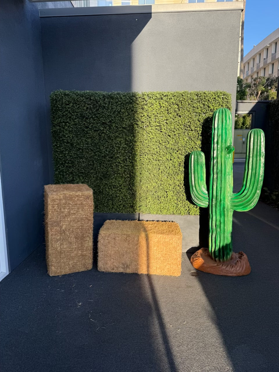 Western Cactus