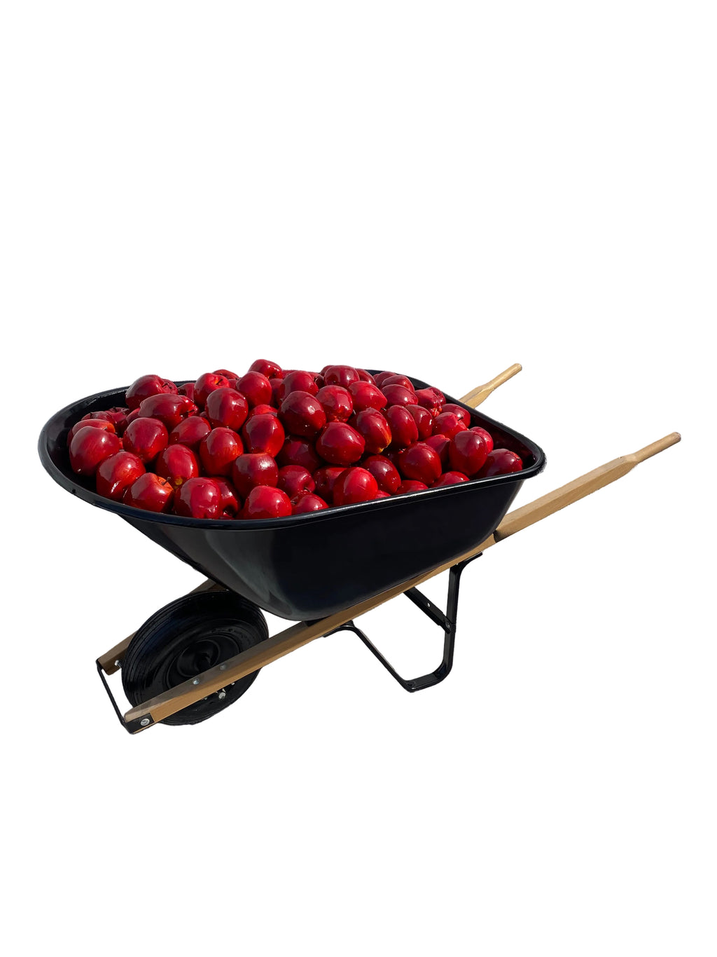 Wheel Barrel Filled With Red Apple