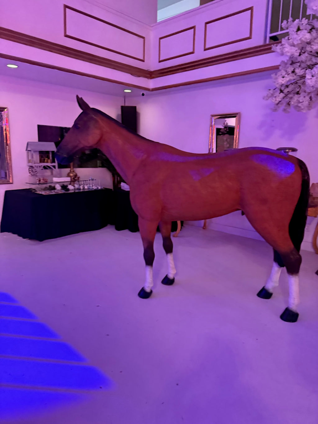 Large Tan & White Horse