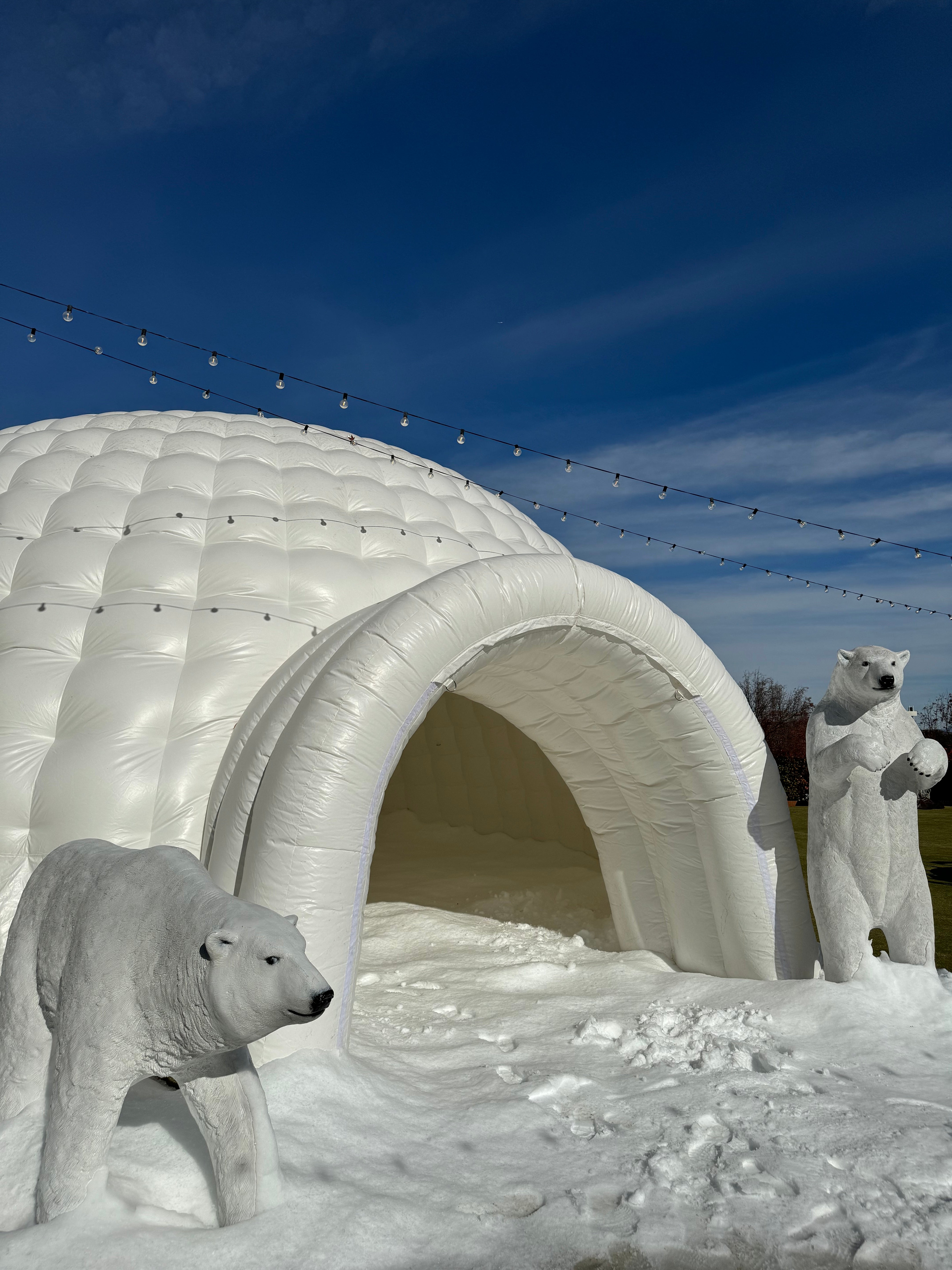 Standing Polar Bear – Platinum Prop House, Inc.