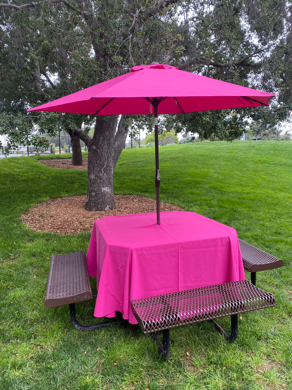 Hot Pink Umbrella With Base