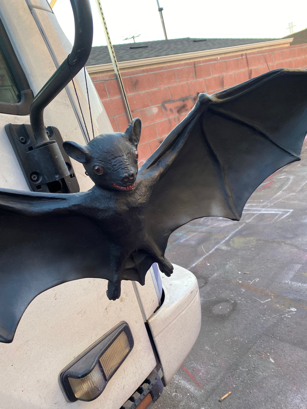 Bat