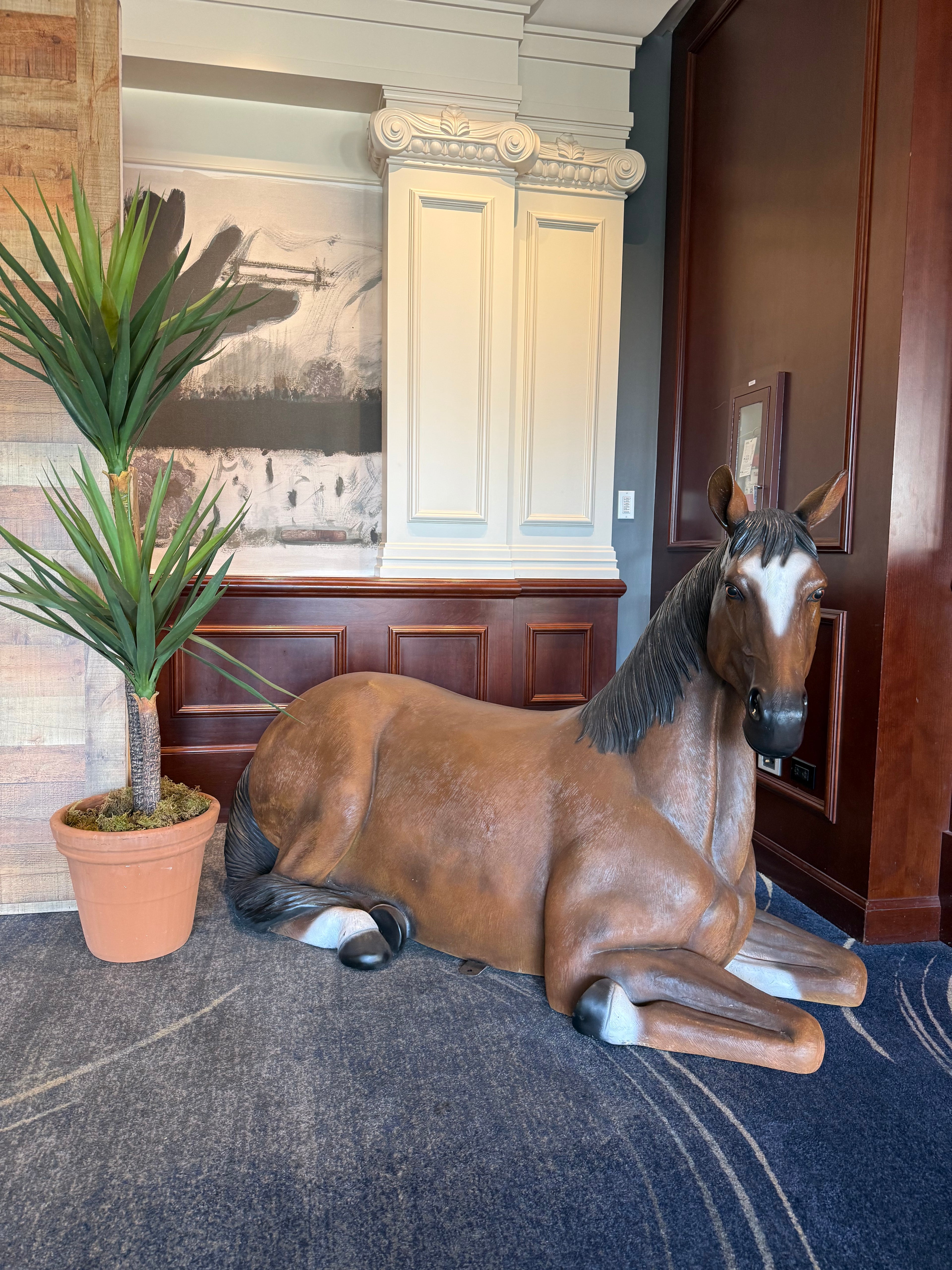 Laying Brown Brown Horse