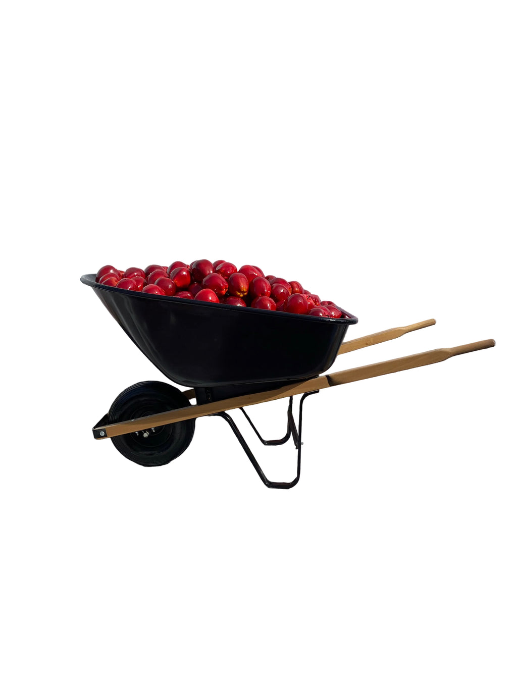 Wheel Barrel Filled With Red Apple