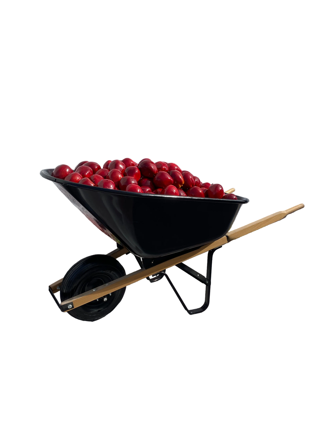 Wheel Barrel Filled With Red Apple