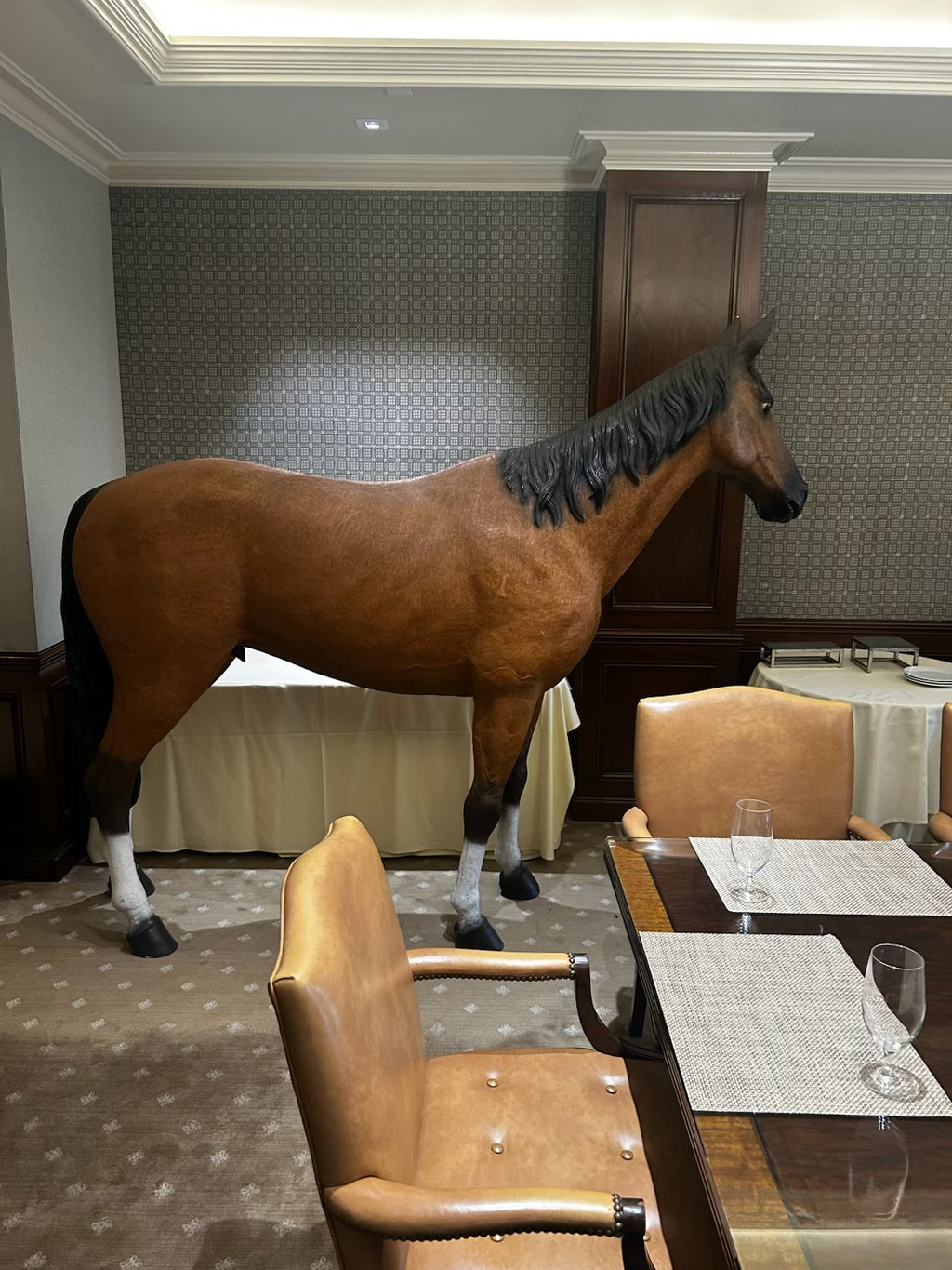Large Tan & White Horse