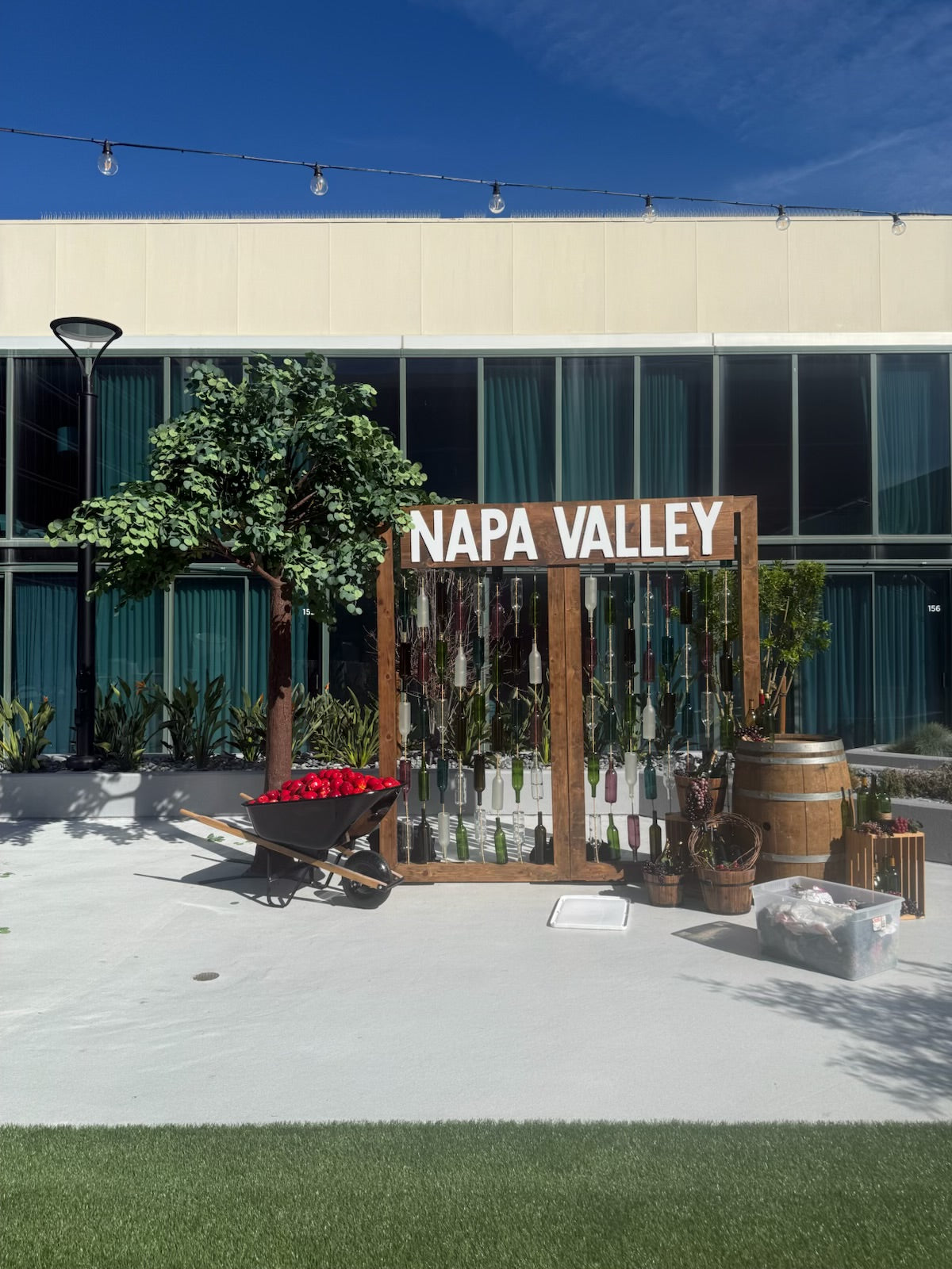 12 Foot Fig Green Leaf Tree