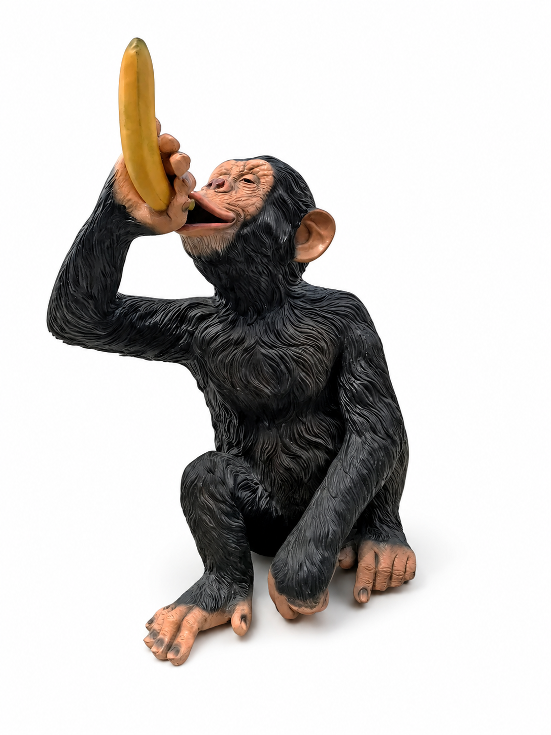 Safari Monkey