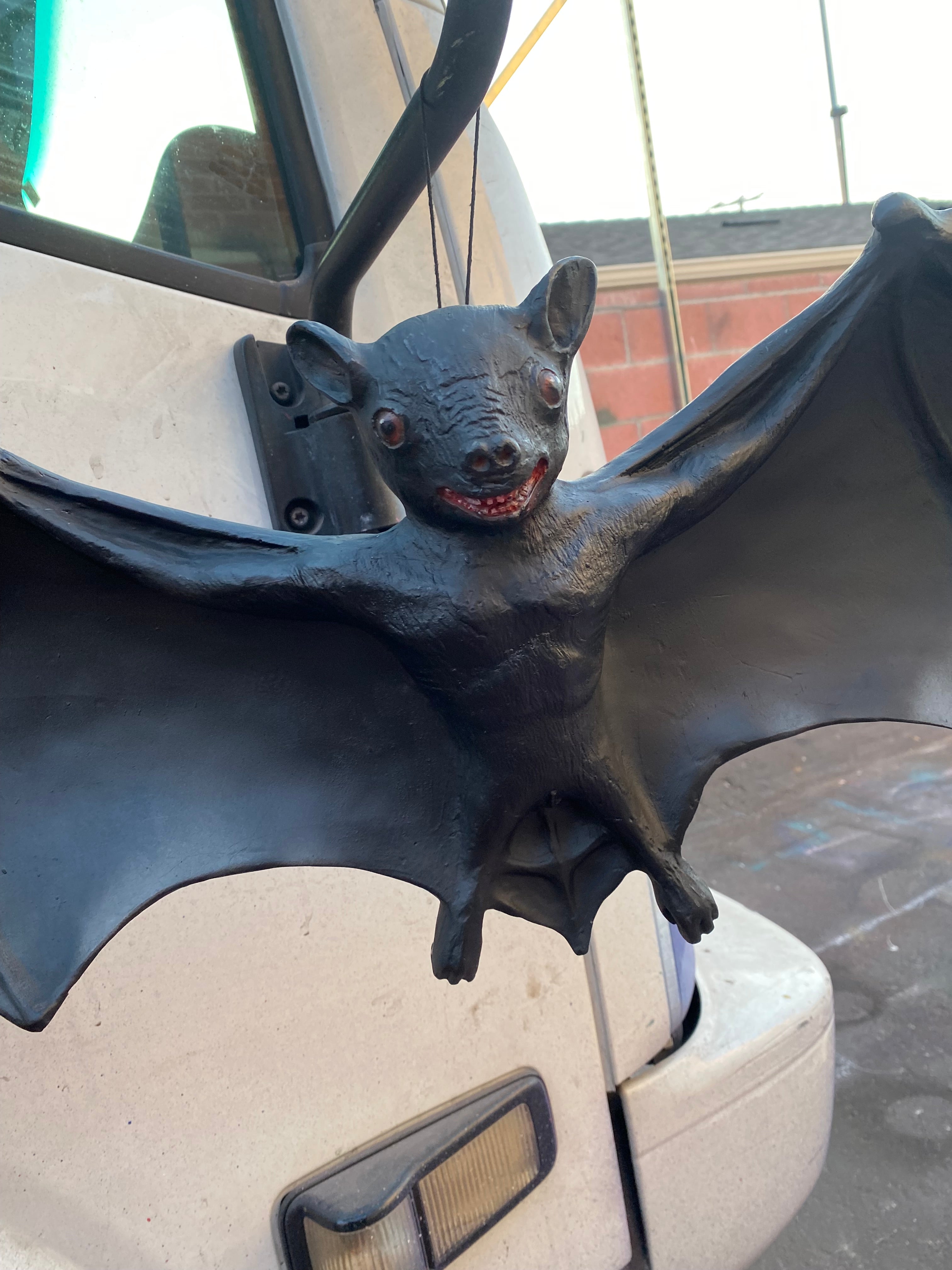 Bat