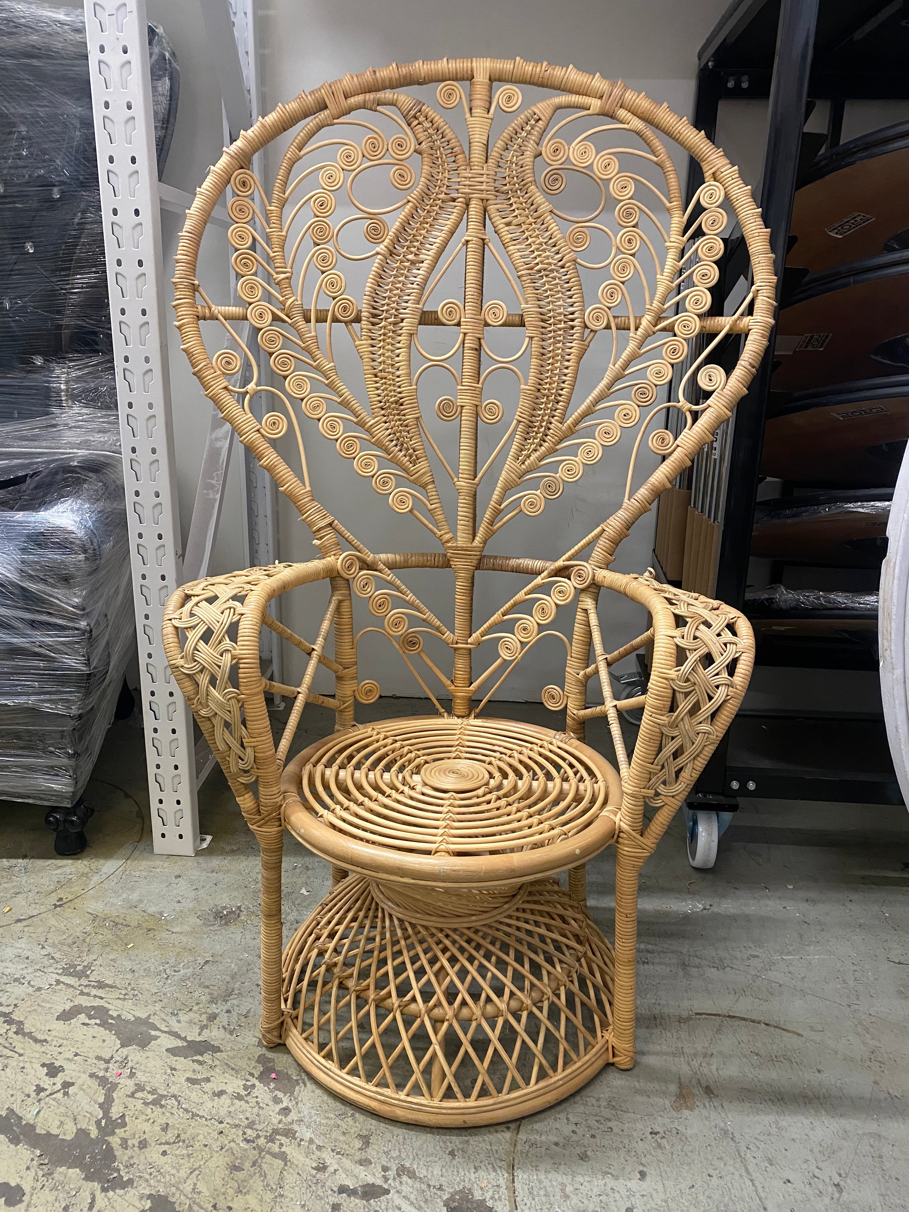 Adult Non-Feather Whimsical Peacock Chair