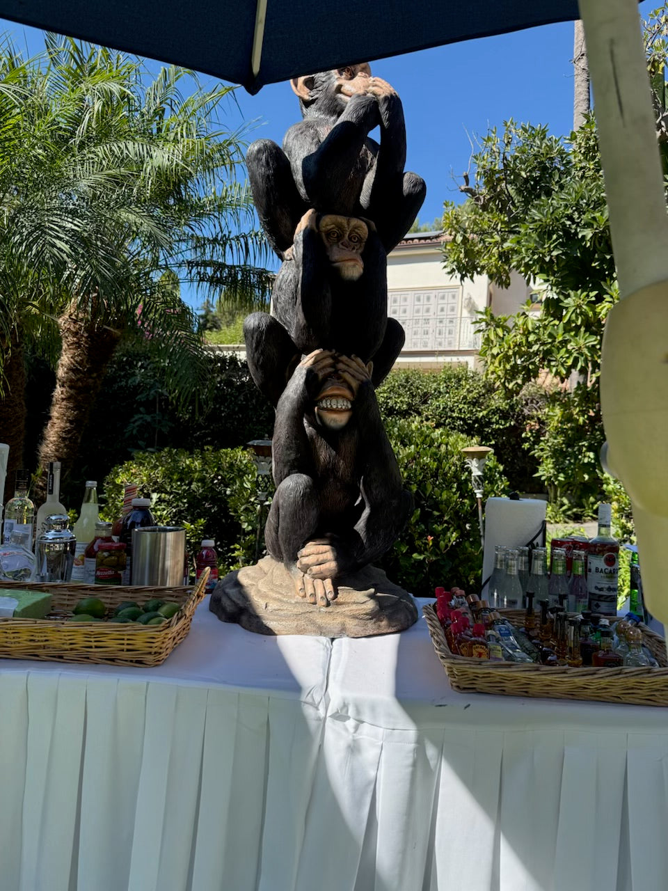 Stacked Monkeys