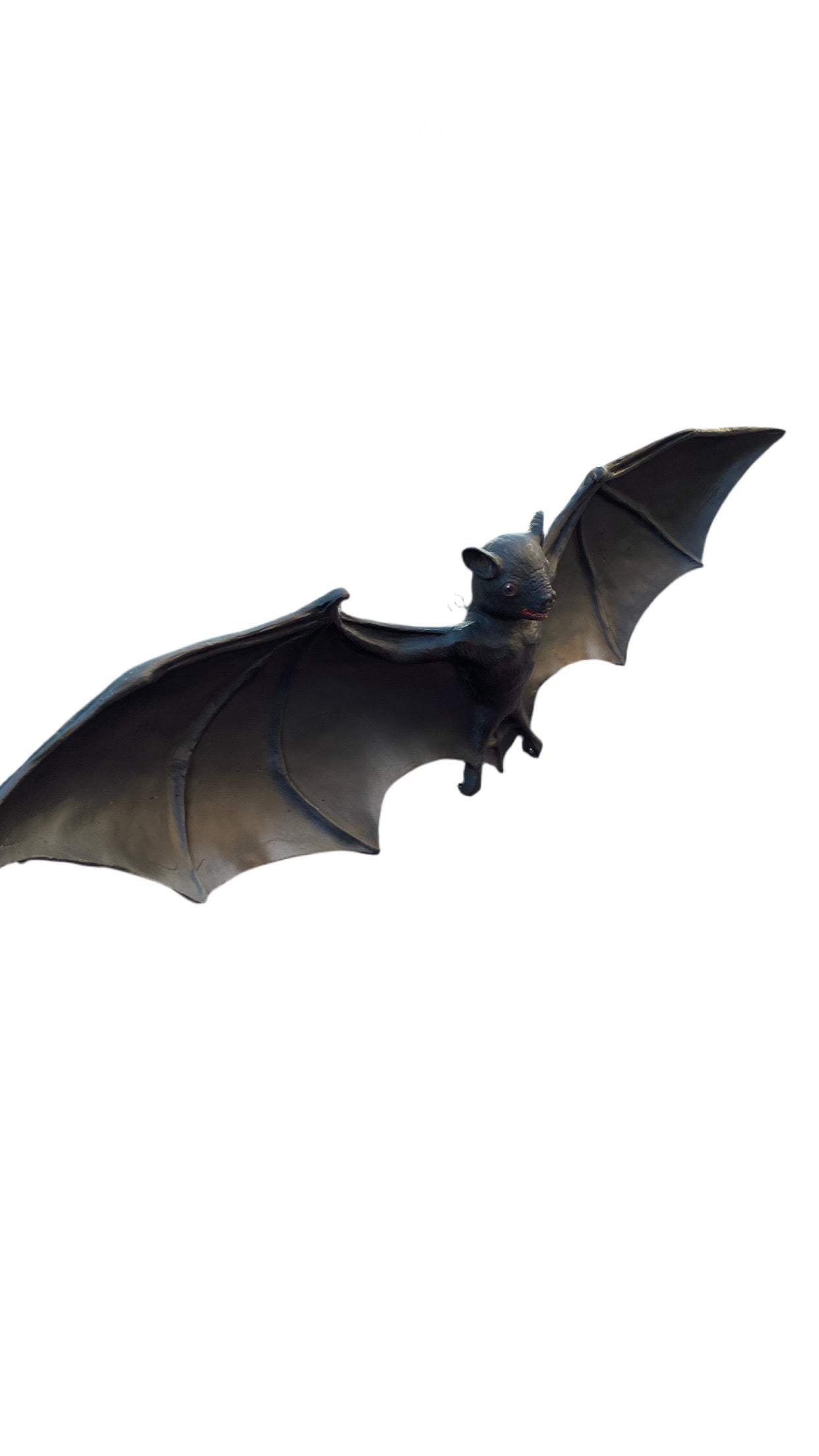 Bat