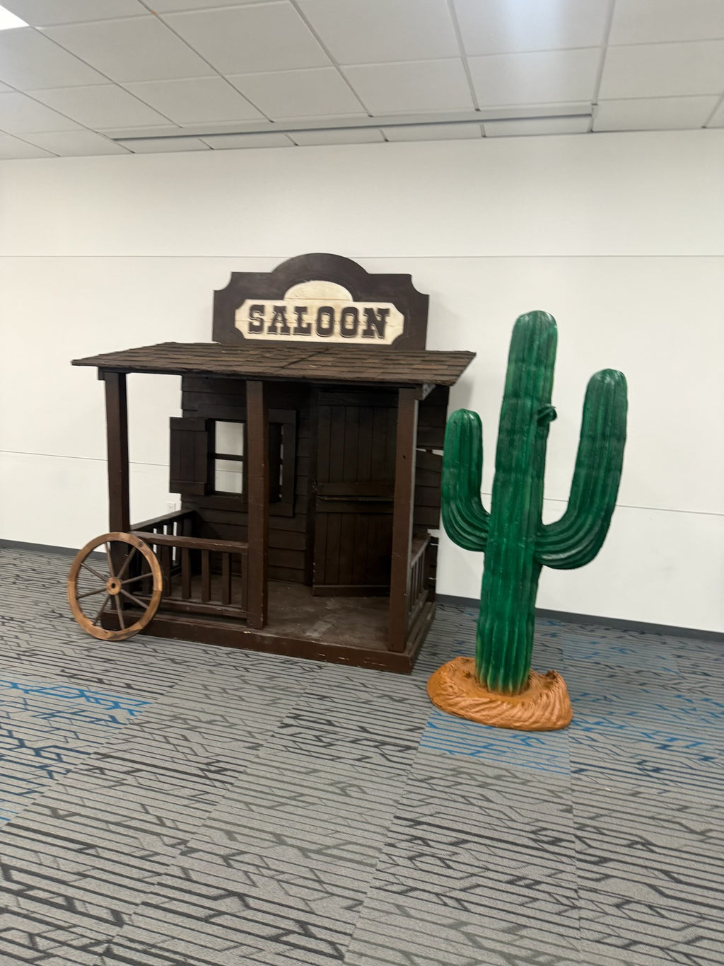 Western Cactus