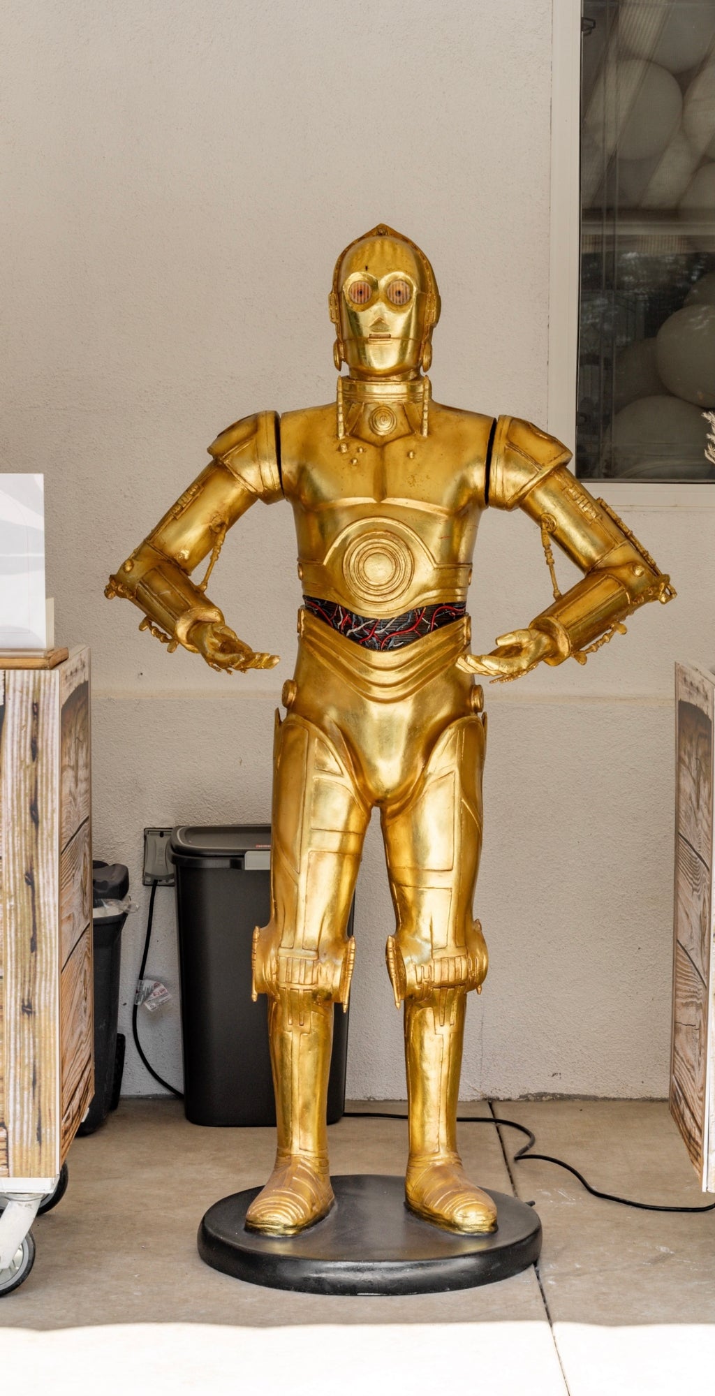 C3PO Droid
