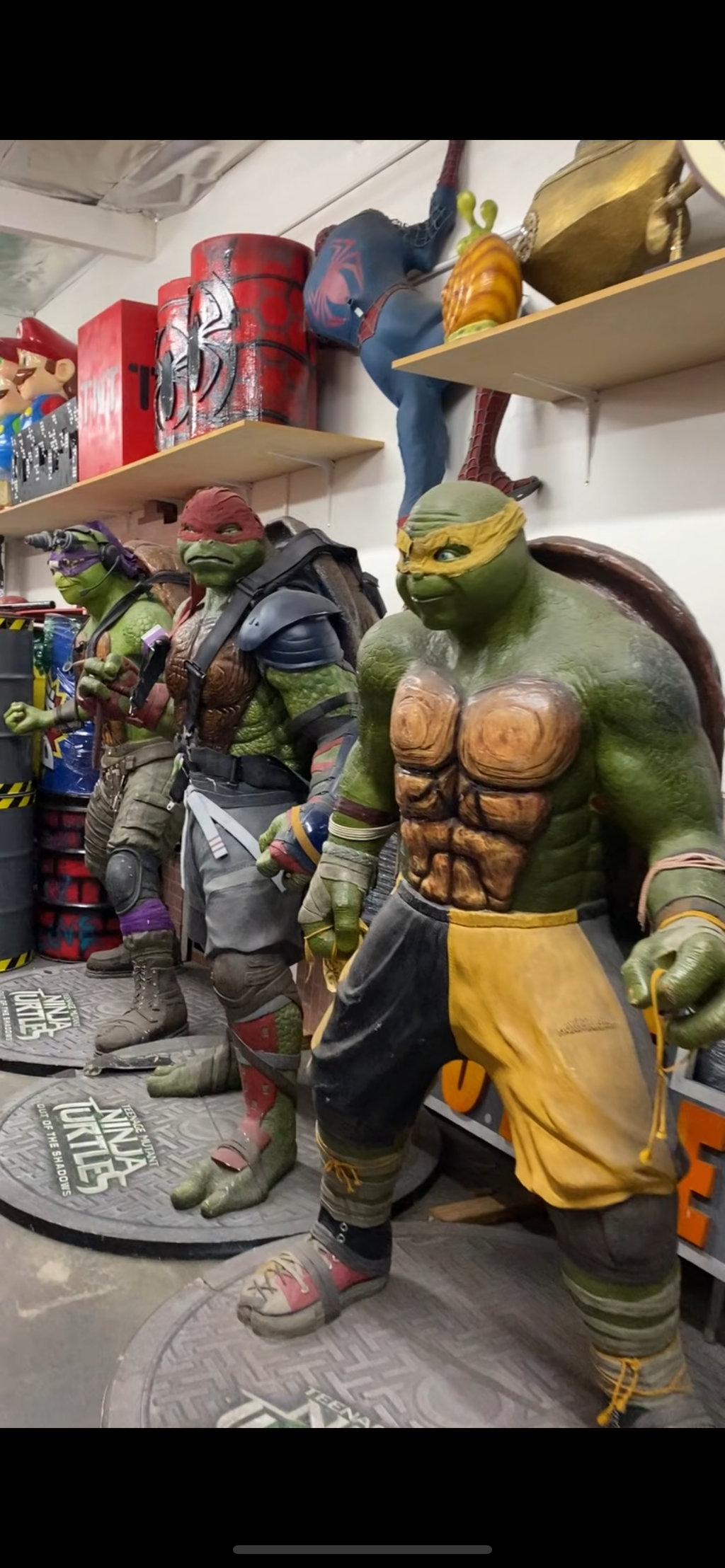 Four Teenage Mutant Ninja Turtles