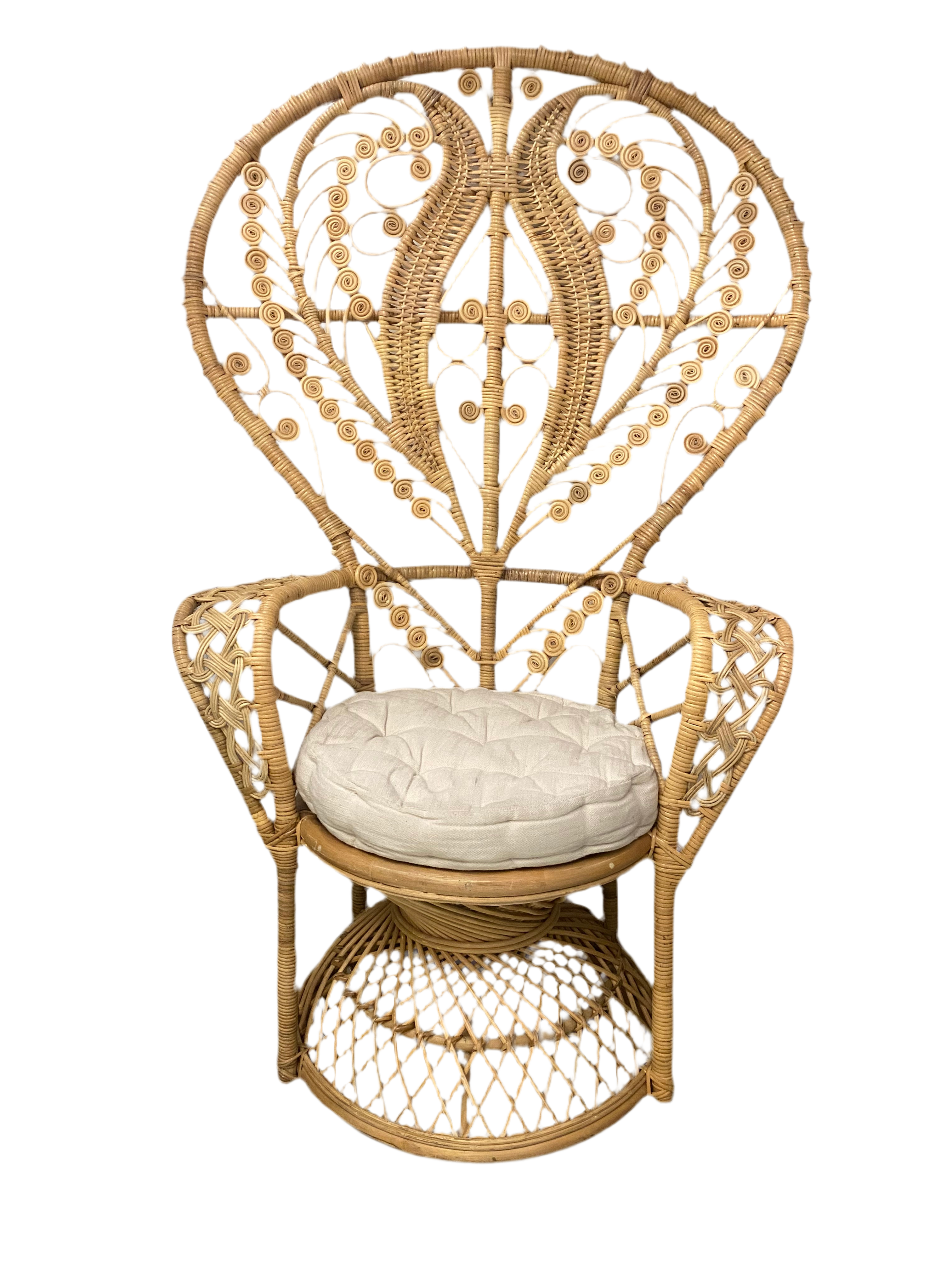 Adult Non-Feather Whimsical Peacock Chair