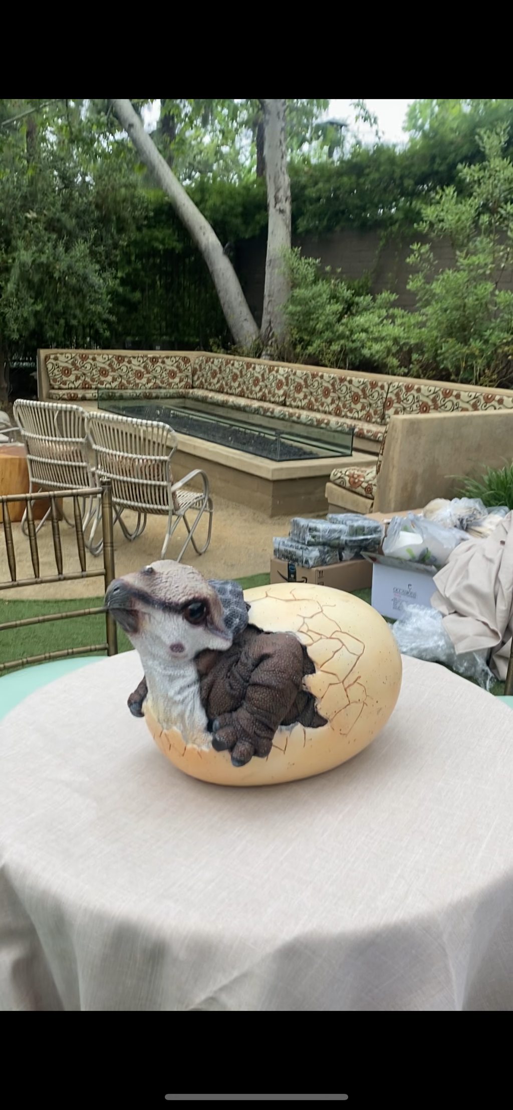 Triceratops Baby Dinosaur Egg