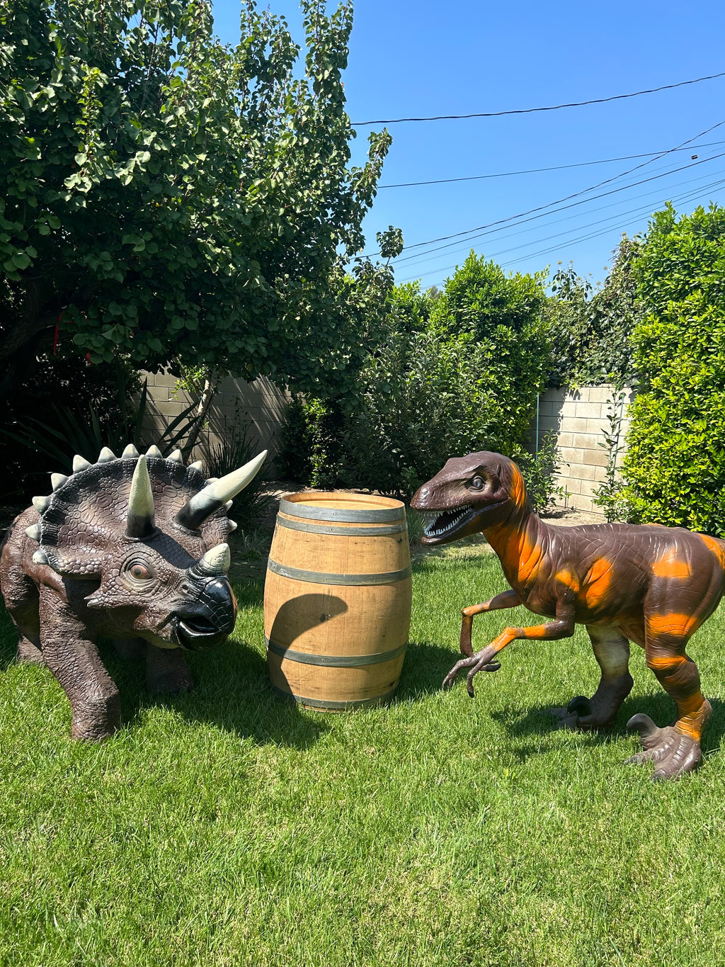 Triceratops Dinosaur