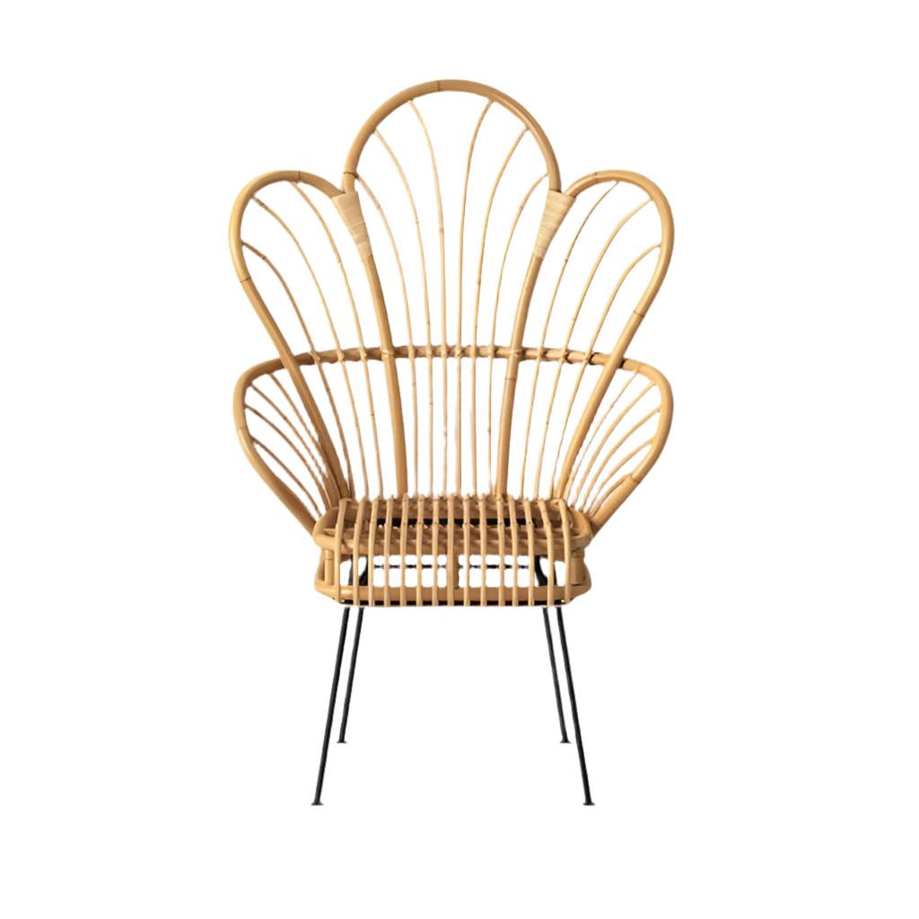 Adult Rattan Chair
