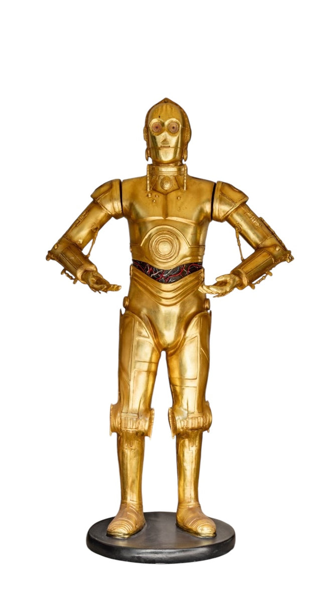 C3PO Droid