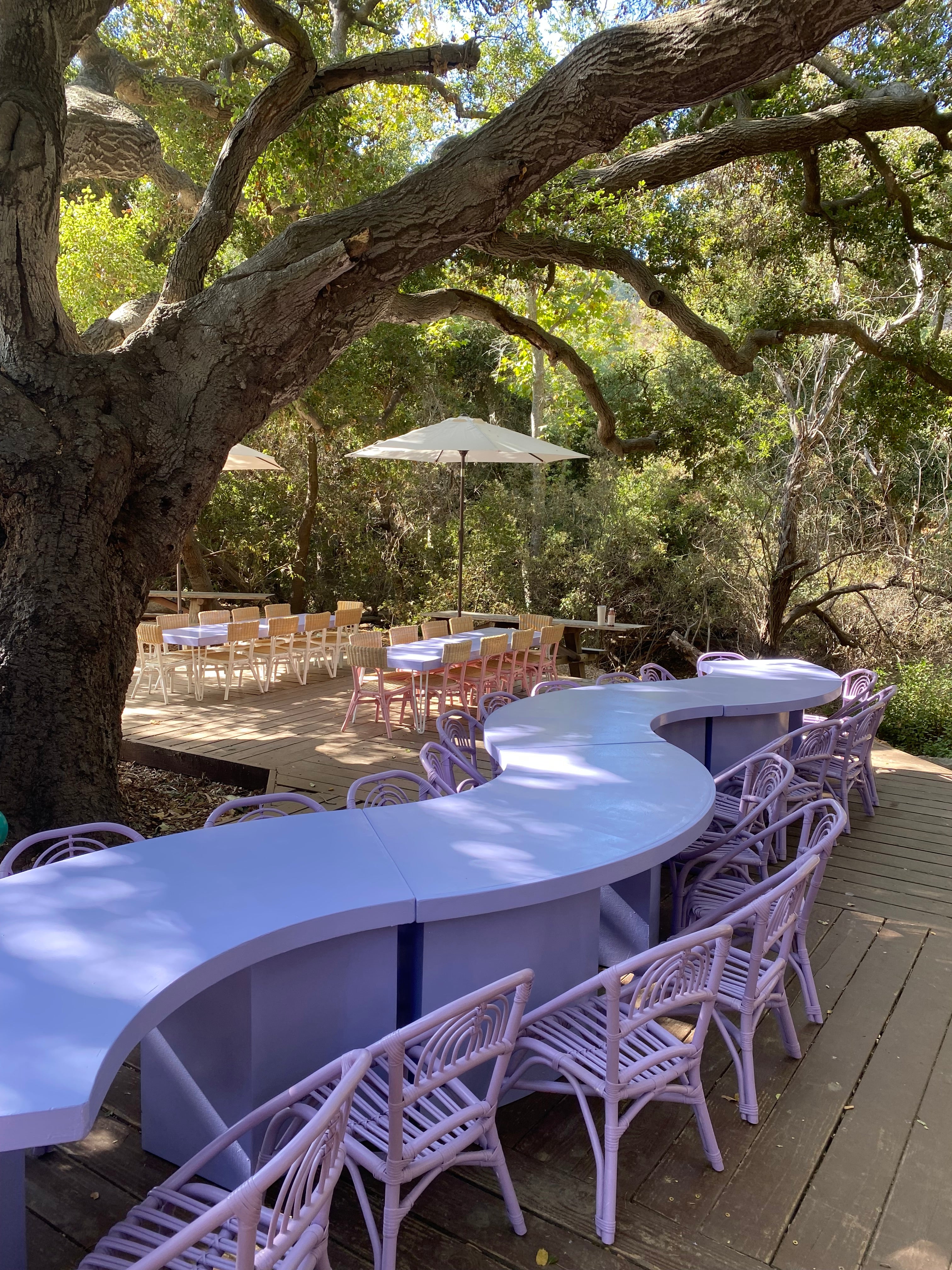 Kids Lavender Serpentine Table