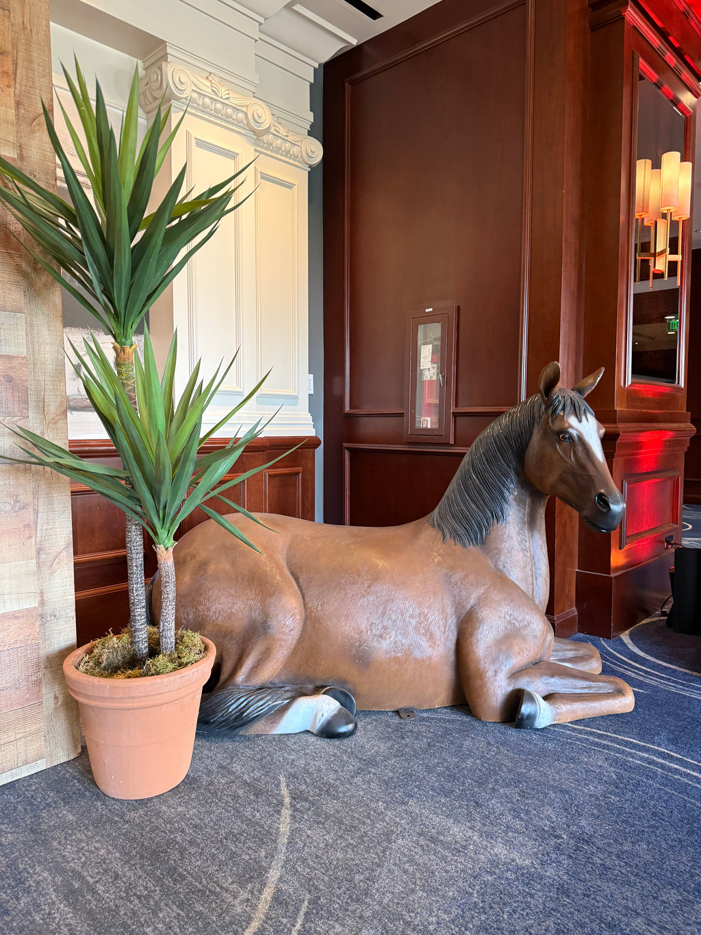 Laying Brown Brown Horse