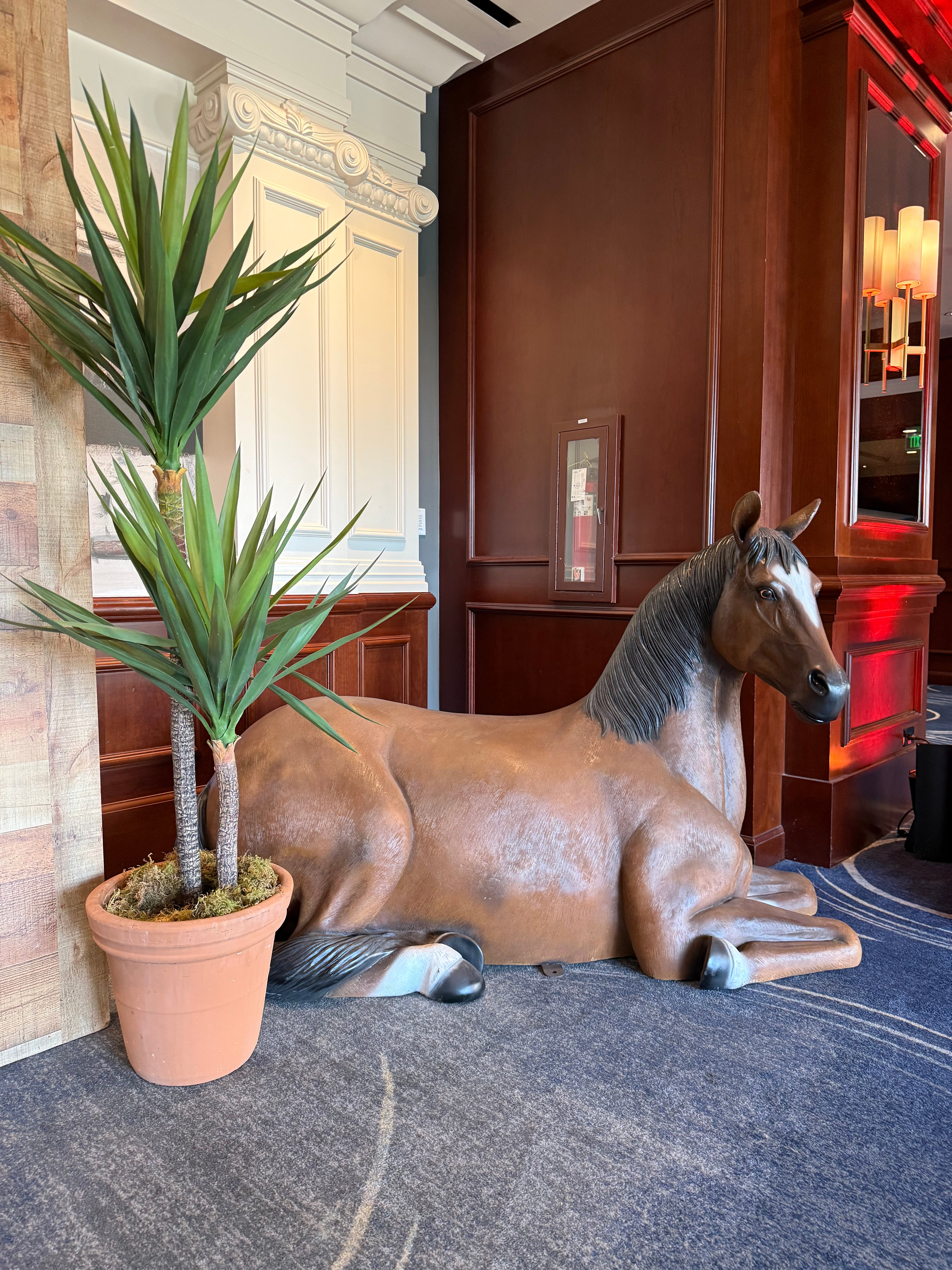 Laying Brown Brown Horse